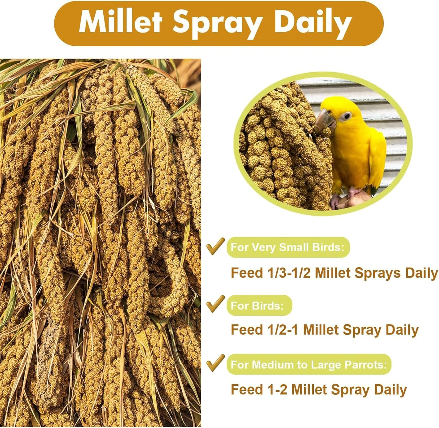 1LB Spray Millet Treat for Birds &ndash; Natural Sun-Dried Millet for Parakeets, Cockatiels, Budgies, Finches, Parrots, and Hamsters image number 5