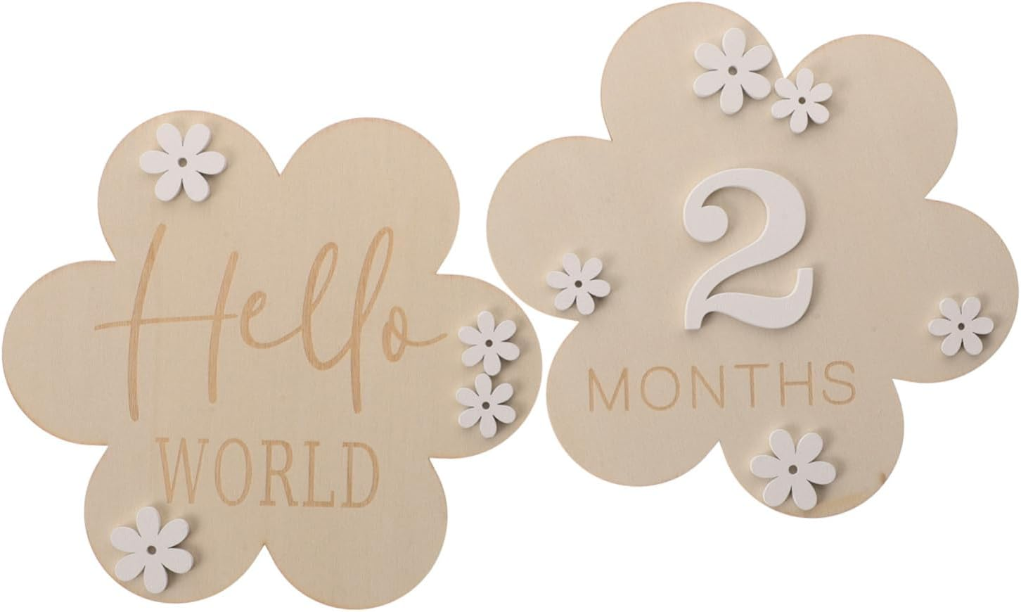 2Pcs Milestone Toys Wood Milestone Discs Wood Circles for Monthly Growth Record Photo Props