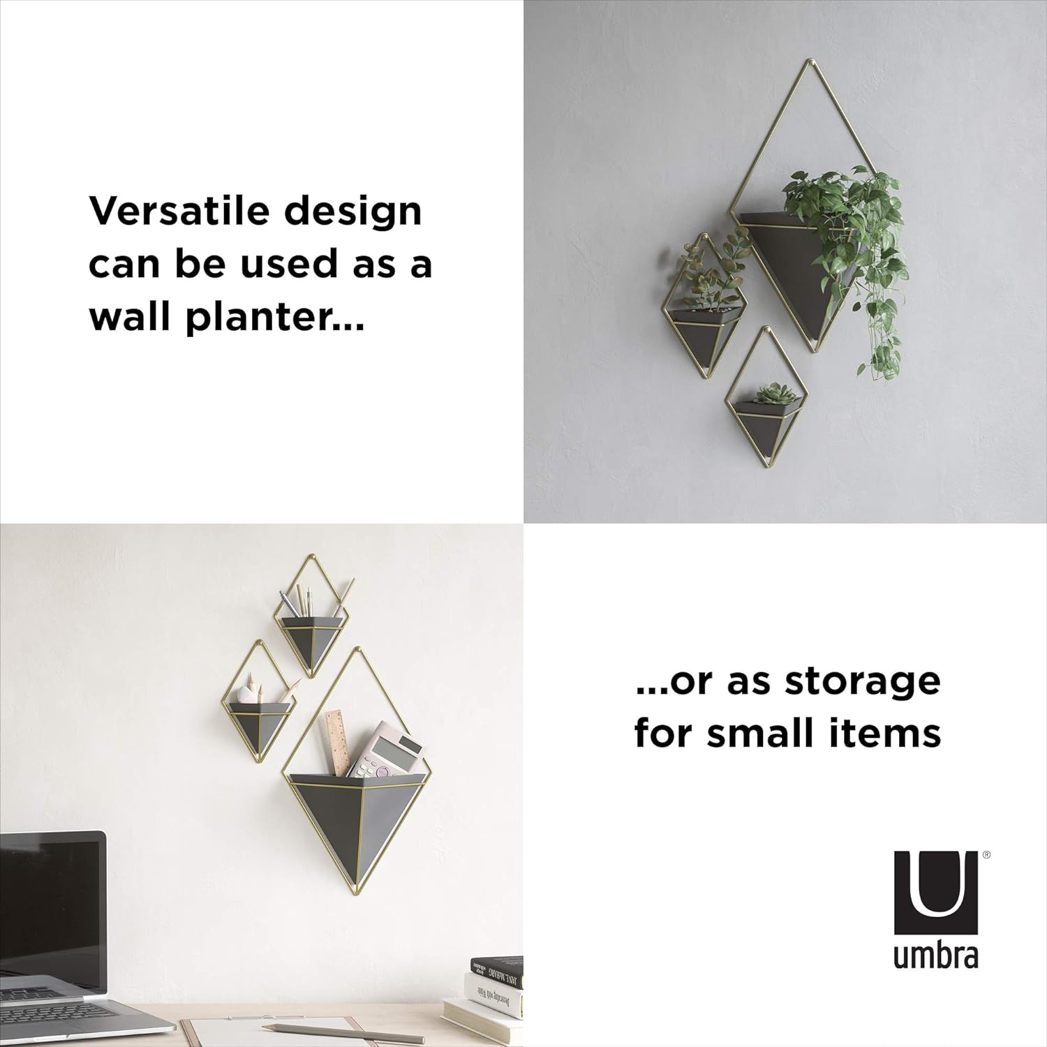 Umbra Trigg Hanging Planter Wall Decor Set, for Displaying Small Plants, Pens and Pencils, Makeup Accessories, Black/Brass