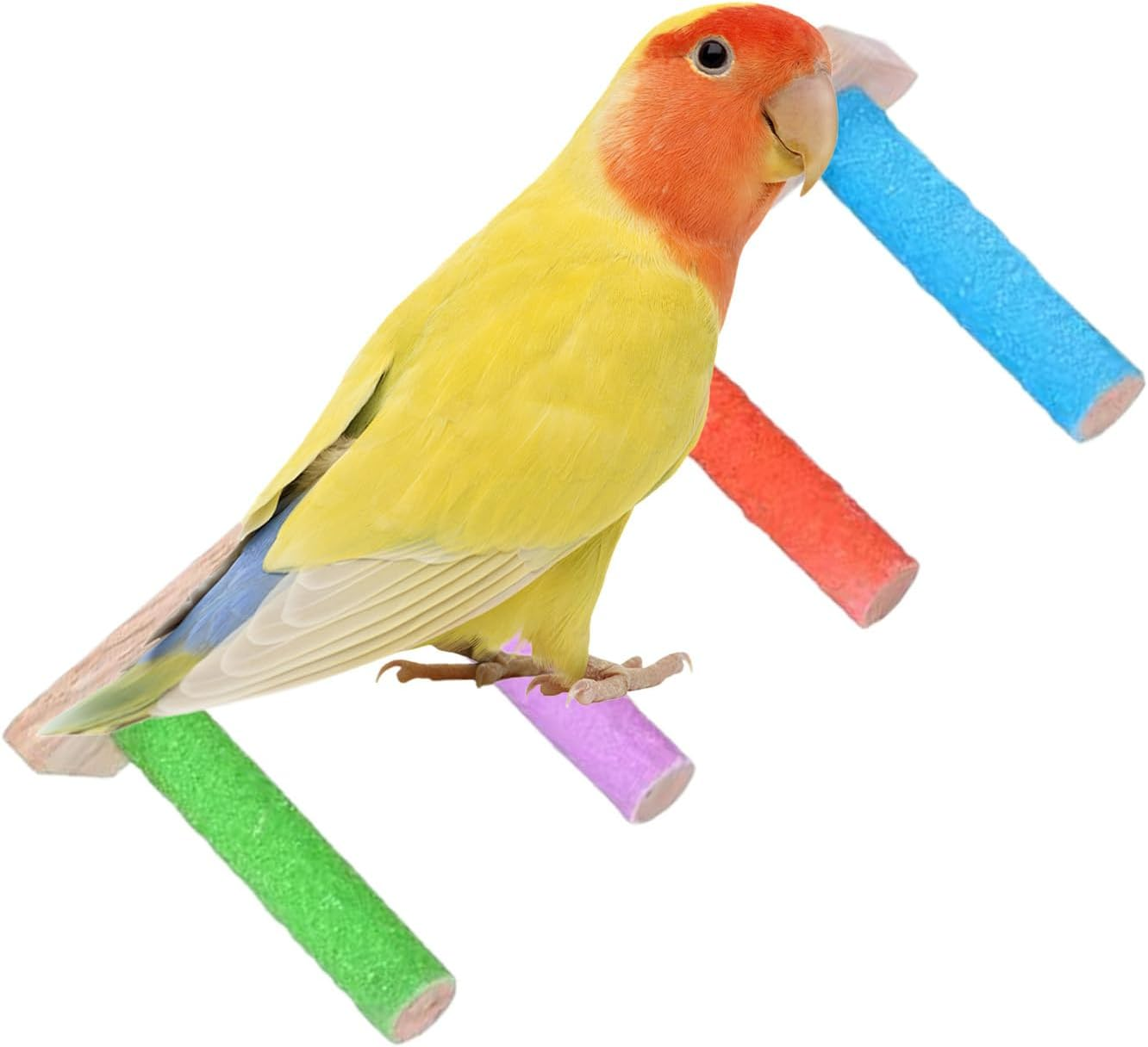 Bird Ladder - Wooden Swinging Bird Cage Ladder - Heavy Duty, Multifunctional Claw Sharpening Tools, Interactive Crate Accessories for Parakeet Conures Lovebird