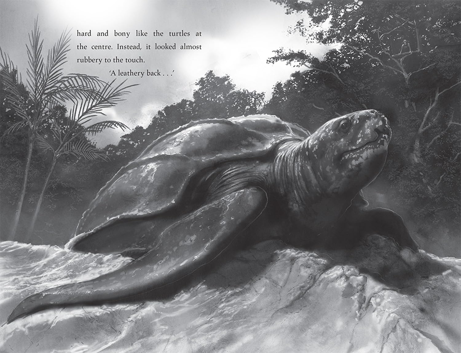 Turtle Moon: a Thrilling Illustrated Adventure Story from the Bestselling Author of the LAST BEAR image number 2