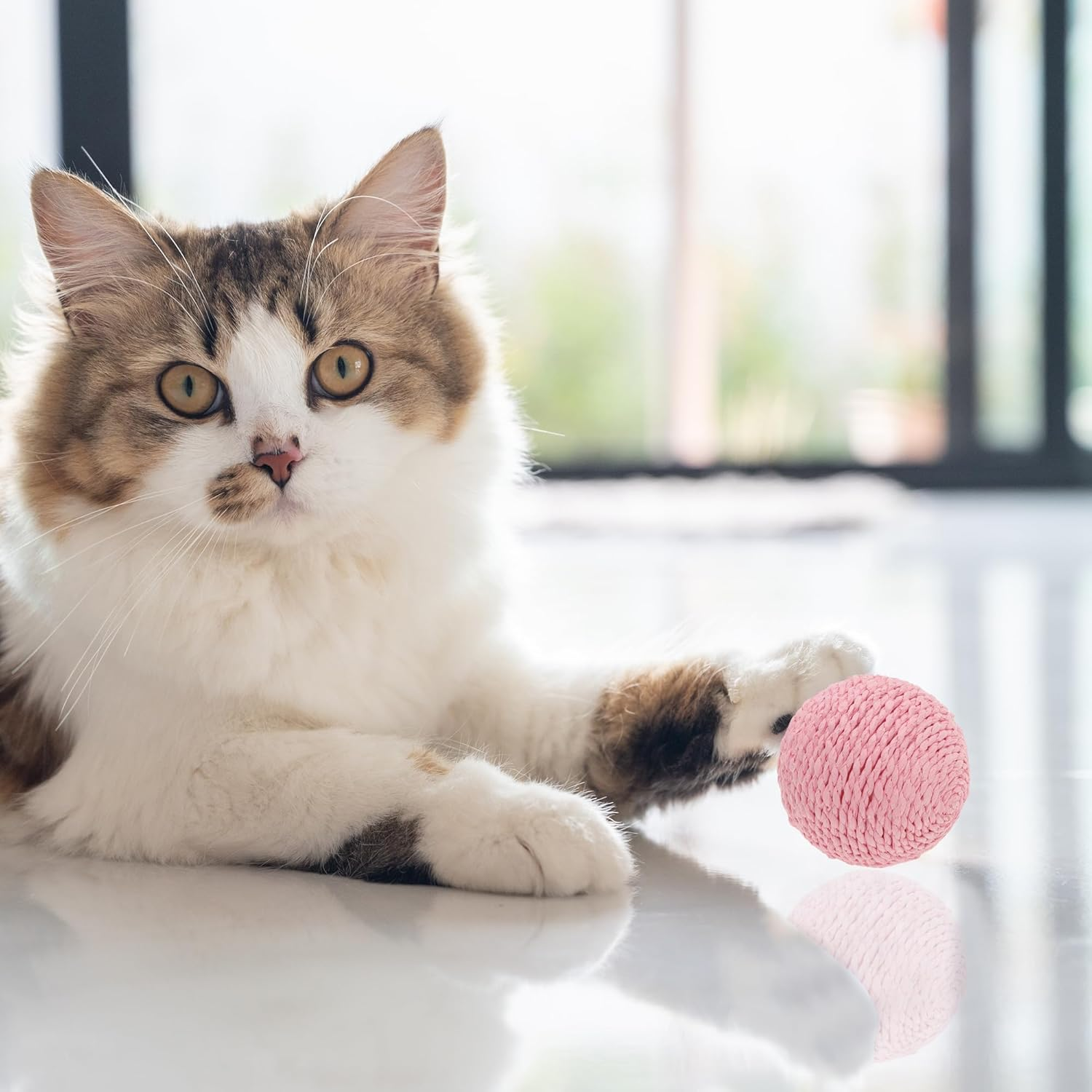 CAPASTEC Cat Playing Ball with Bell Indoors, Interactive Cat Balls for Playing and Fetch, Safety Dental Care Cat Chew Balls, Diameter 10 Cm, Pink image number 5
