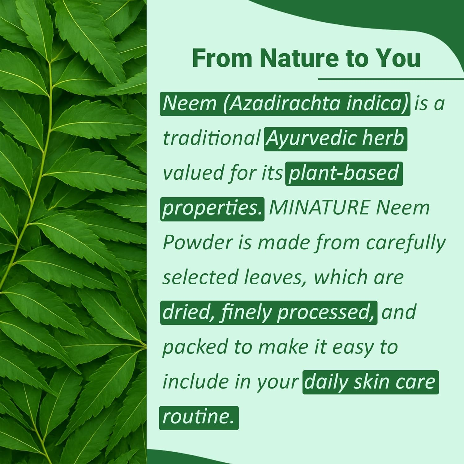 Minature Neem Leaf Powder 100G (3.5Oz) image number 3