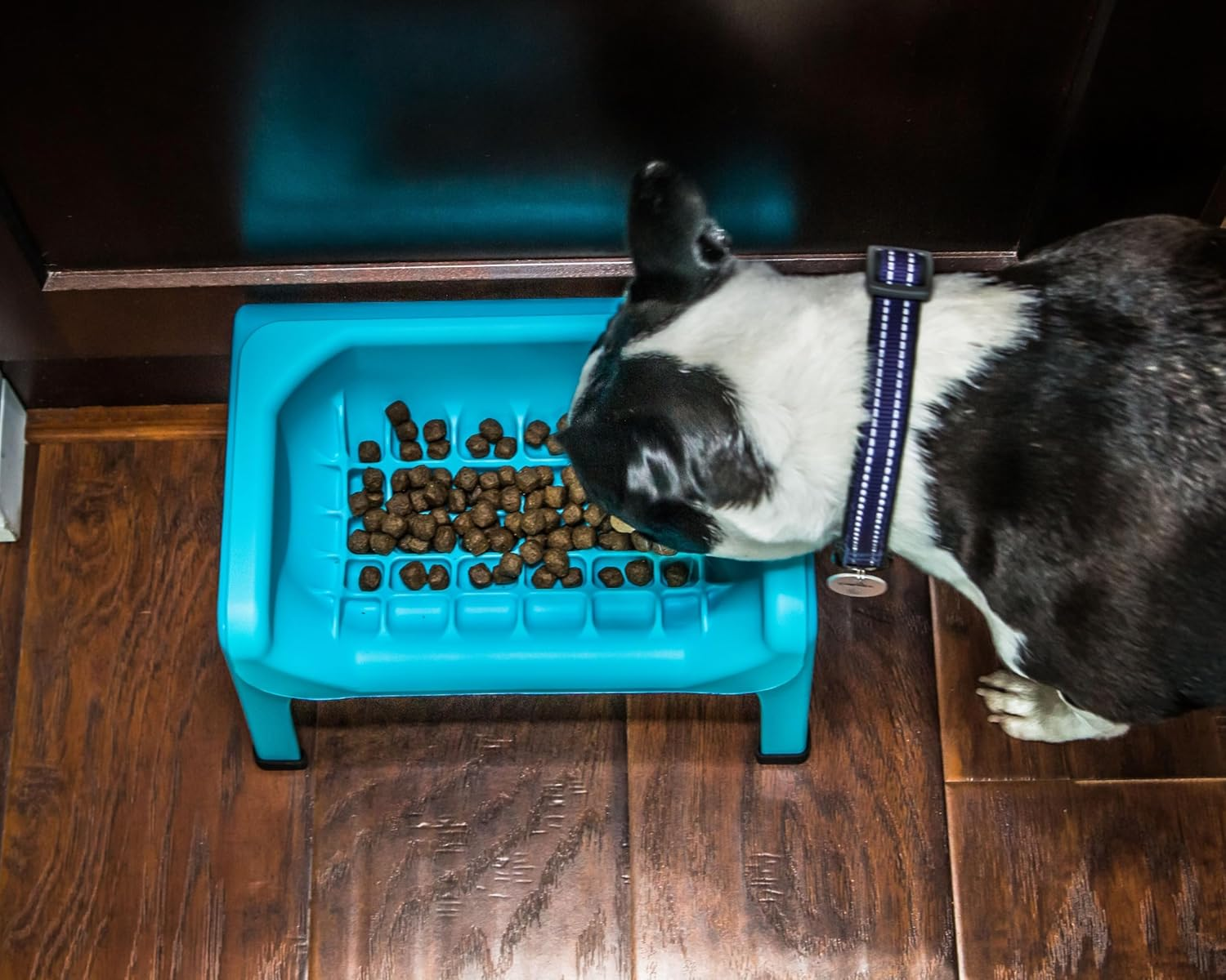 Fluff Trough Elevated Slow Feeder Dog Bowl - Prevents Fast Eaters from Binging & Choking on Food, Minimizes Neck Strain, Suitable for Flat-Faced Pets, Vet Recommended, Dishwasher Safe, Purple image number 5