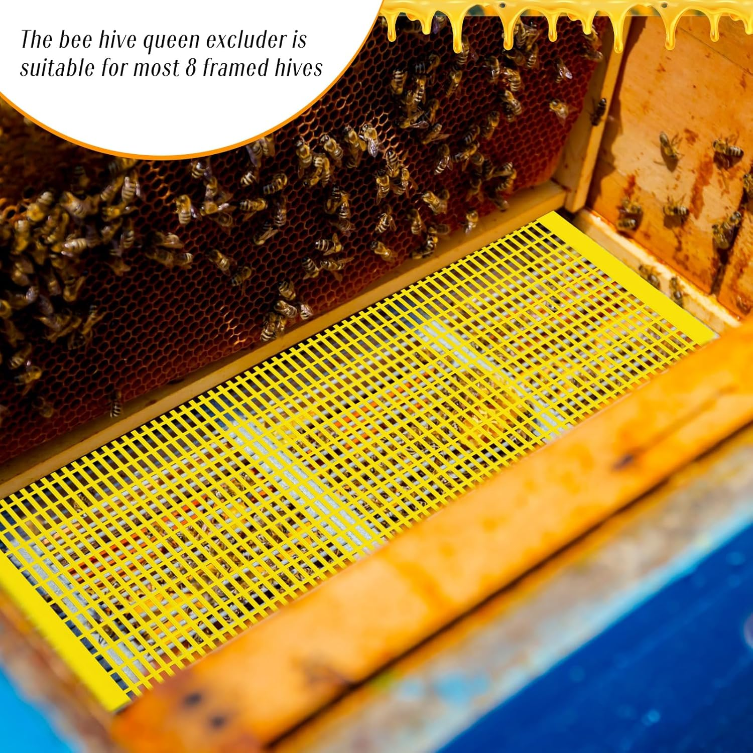 Rtteri 10 Pcs 8 Frame Plastic Queen Excluder Queen Bee Excluder for Bee Hive Beekeeping, Separating Queen Bees from Honey, Beekeepers Looking to Harvest Honey (Yellow,8 Frame) image number 5