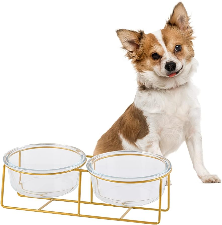 Small Double Elevated Dog Bowls - Raised Dog Bowl - Glass Dog Cat Bowl Set for Food and Water - Pet Comfort Feeding Bowls with Gold Iron Stand image number 5