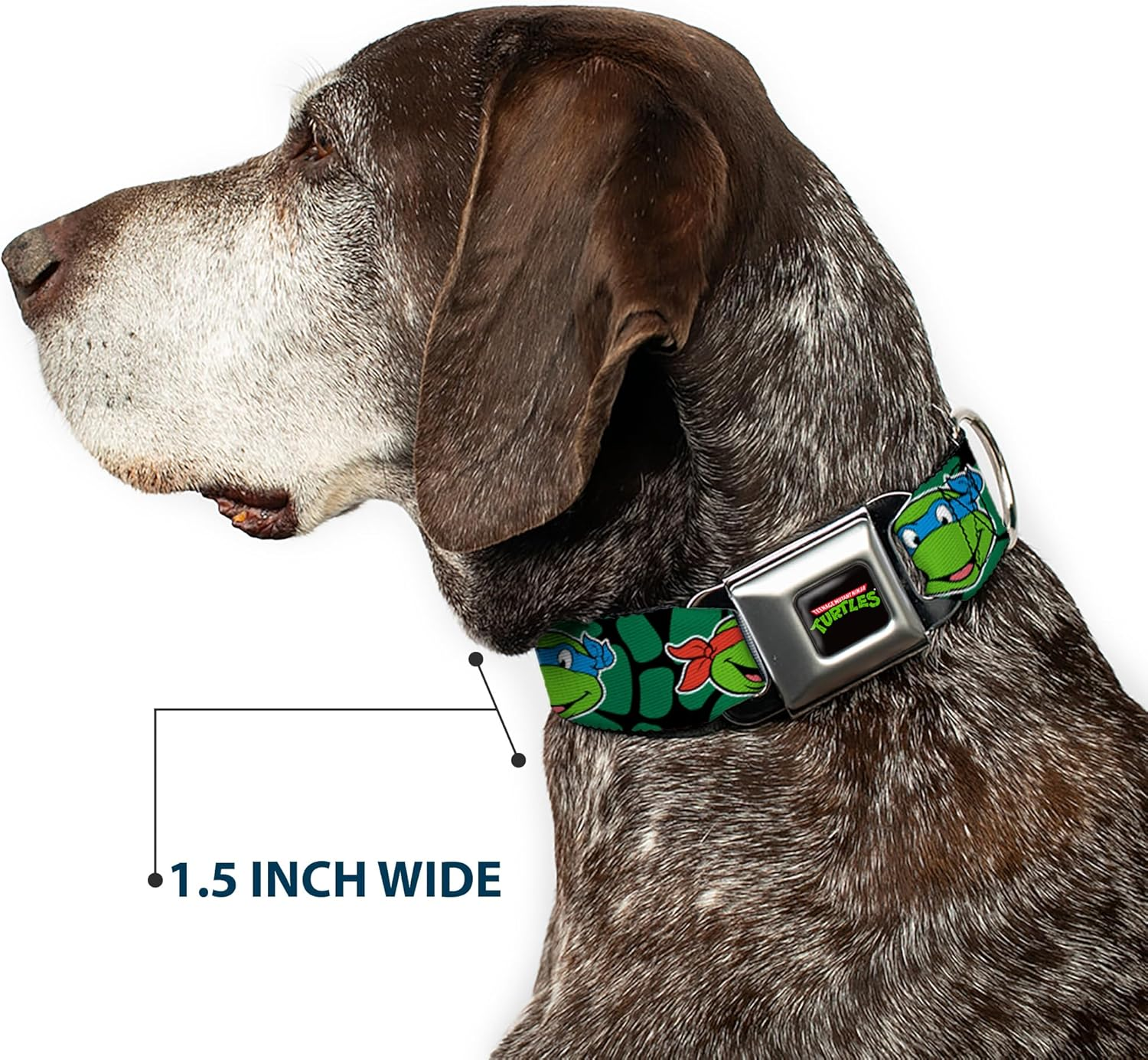 Buckle-Down Seatbelt Buckle Dog Collar - Classic TMNT Turtle Faces Black/Green Turtle Shell - 1" Wide - Fits 15-26" Neck - Large image number 1