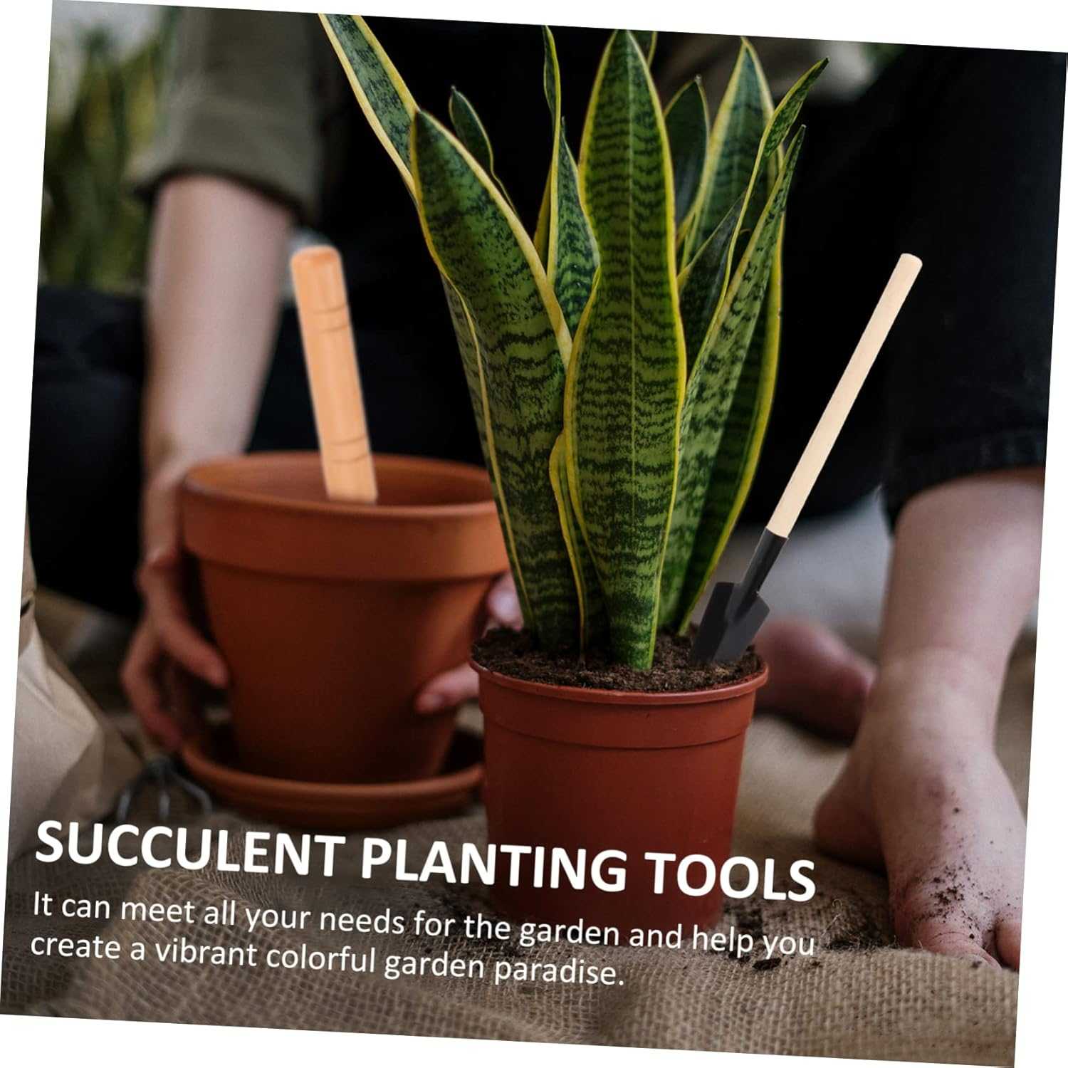 Sosoport Complete Gardening Supplies Includes Trowels Scissors Succulent Kit Sturdy for Bonsai Flowerpot Use image number 4