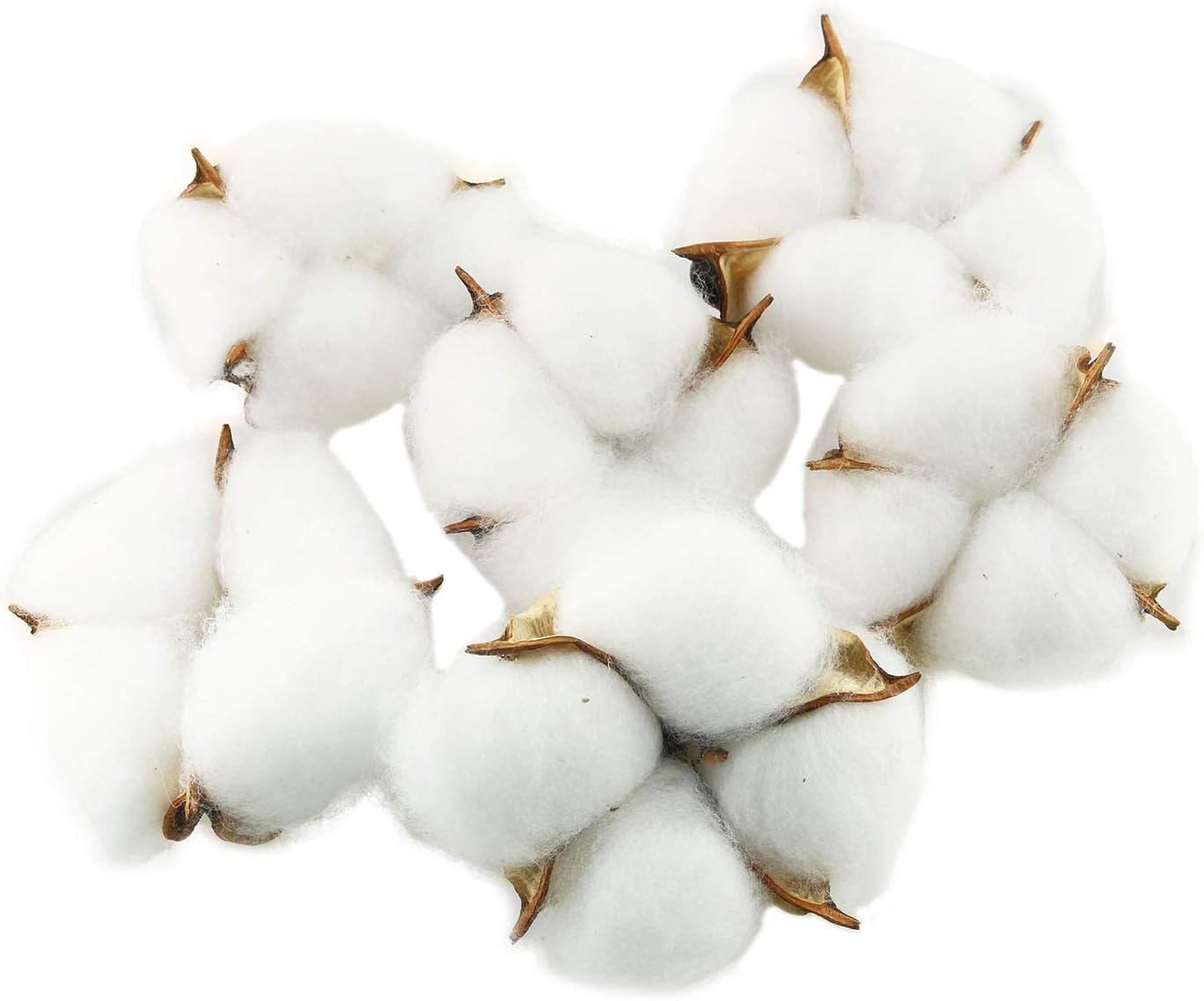 Tegg Cotton Boll 20PCS Natural White Cotton Balls Dried Cotton Pods for Crafting Farmhouse Style image number 1