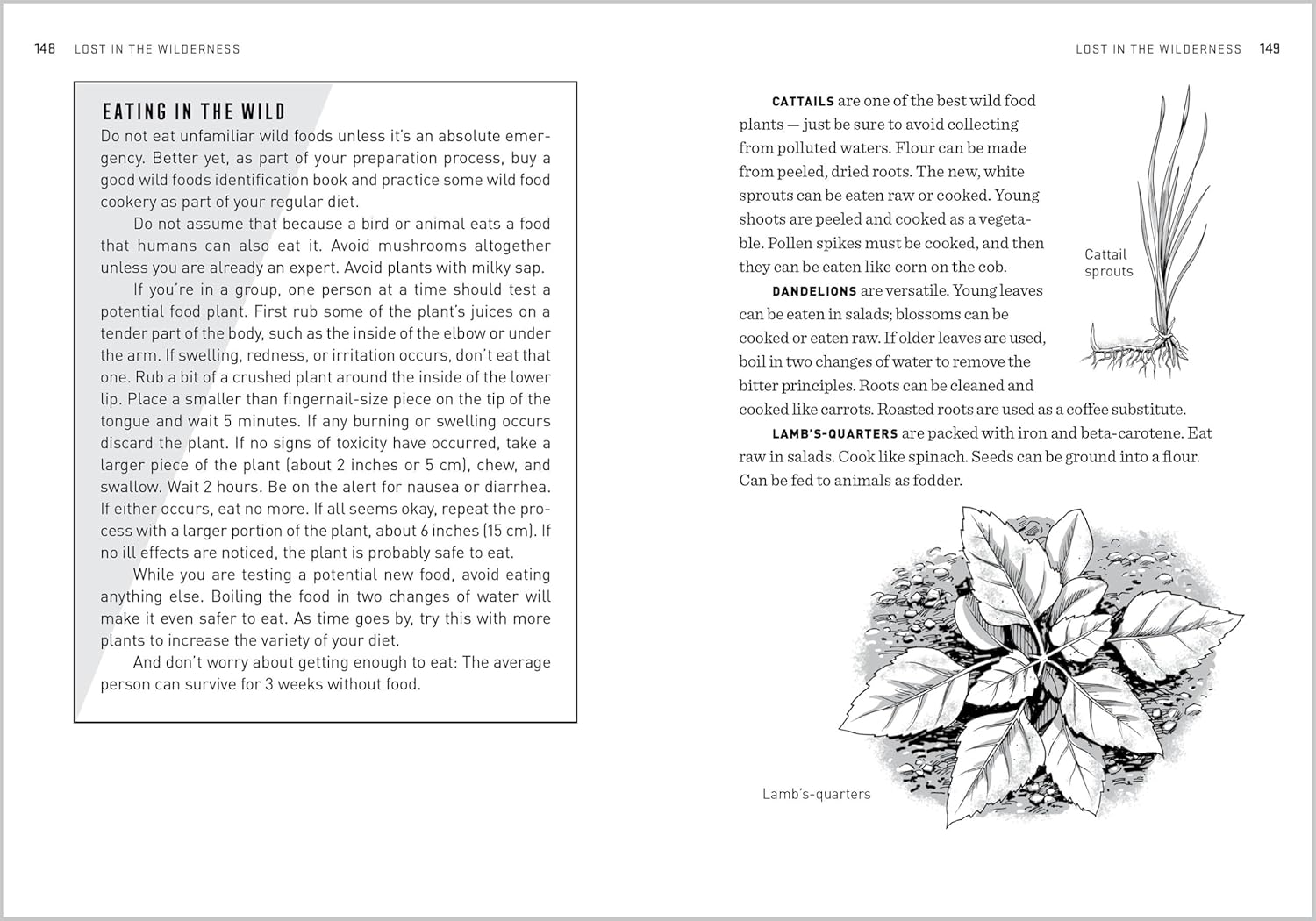 Natural First Aid Handbook: Household Remedies, Herbal Treatments, and Basic Emergency Preparedness Everyone Should Know image number 3