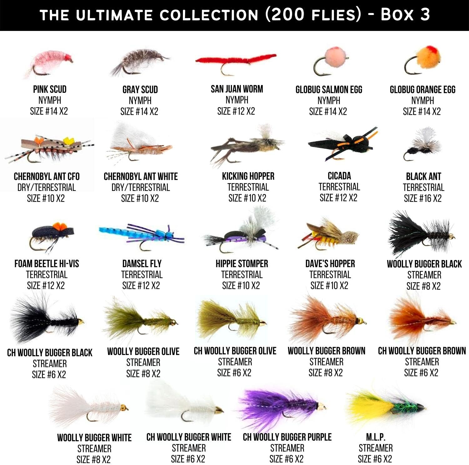 Ventures Fly Co. | 200 Premium Hand Tied Fly Fishing Flies Assortment | Three Fly Boxes Included | Dry, Wet, Nymphs, Streamers, Wooly Buggers, Terrestrials | Trout, Bass Lure Set, Kit