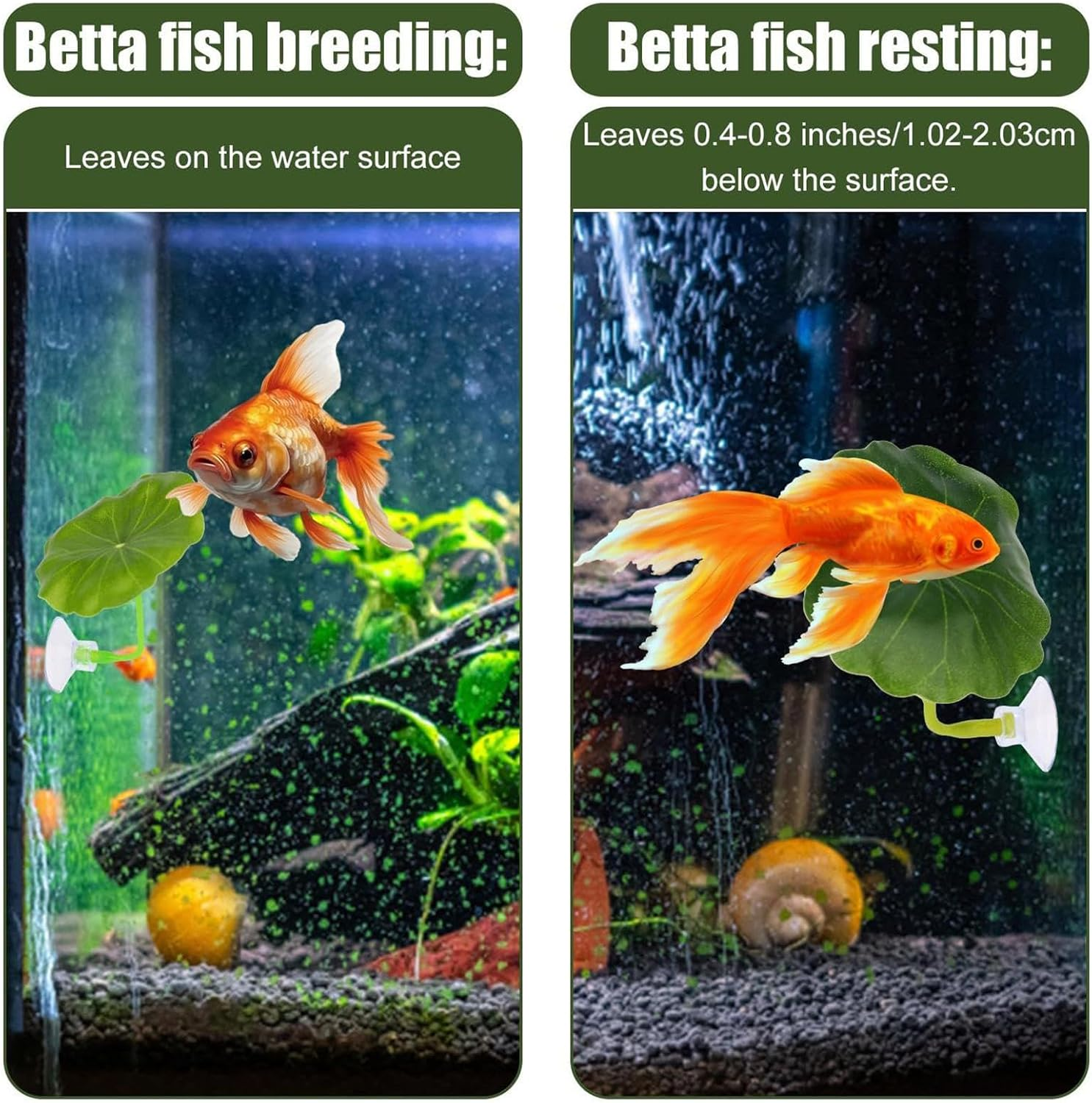 Gupcaqosjw Betta Fish Hammock - Soft Betta Hammock Toys Fish Tank Bed - Aquarium Decor for Corner Sleeping Breeding Playing Small Animals Dwarf Shrimp Crab Catfish image number 5