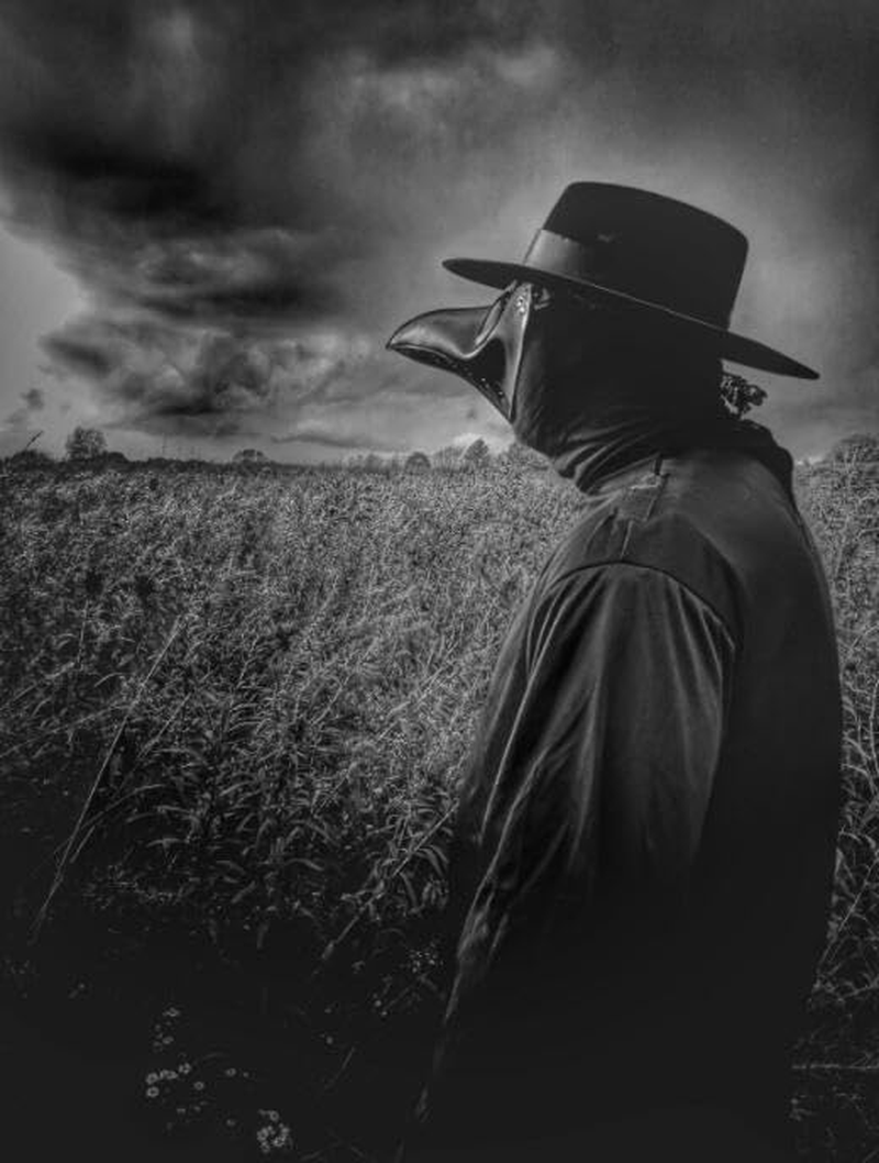 Raxwalker Plague Doctor Bird Mask Long Nose Beak Cosplay Steampunk Halloween Costume Props