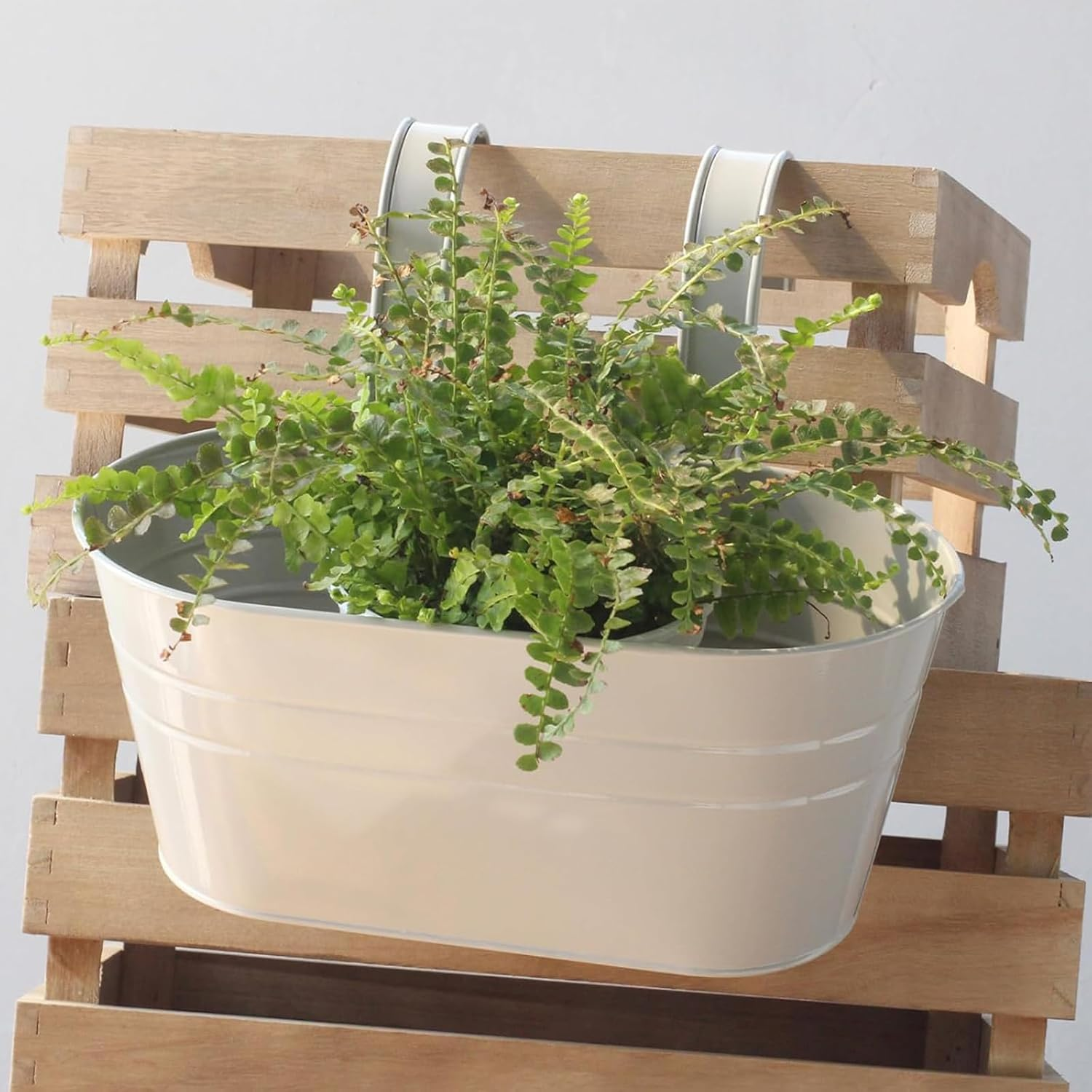 Zalizr 6 PCS Balcony Railing Planters, Metal Iron Hanging Flower Pots for Fence, Porch, Railing, and Balcony, Indoor/Outdoor Garden Decoration with Detachable Hooks (White) image number 3