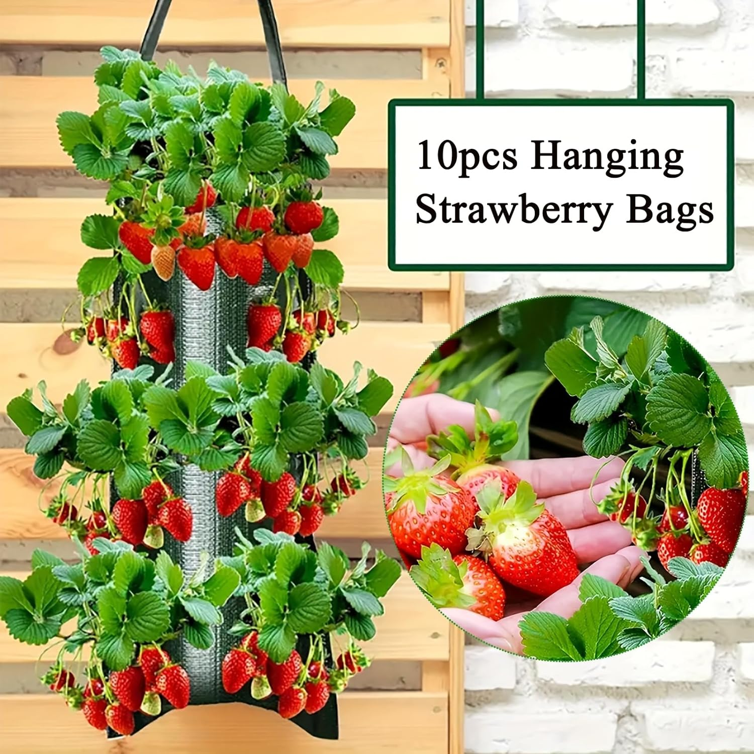 Upside down Strawberries Grow Bags,10 Pack Garden Hanging Strawberry Grow Bag, Hanging Strawberry Planter with Planting Pockets, Hanging Planter for Strawberries,Tomatoes, Chili, Herbs, Vegetables image number 5