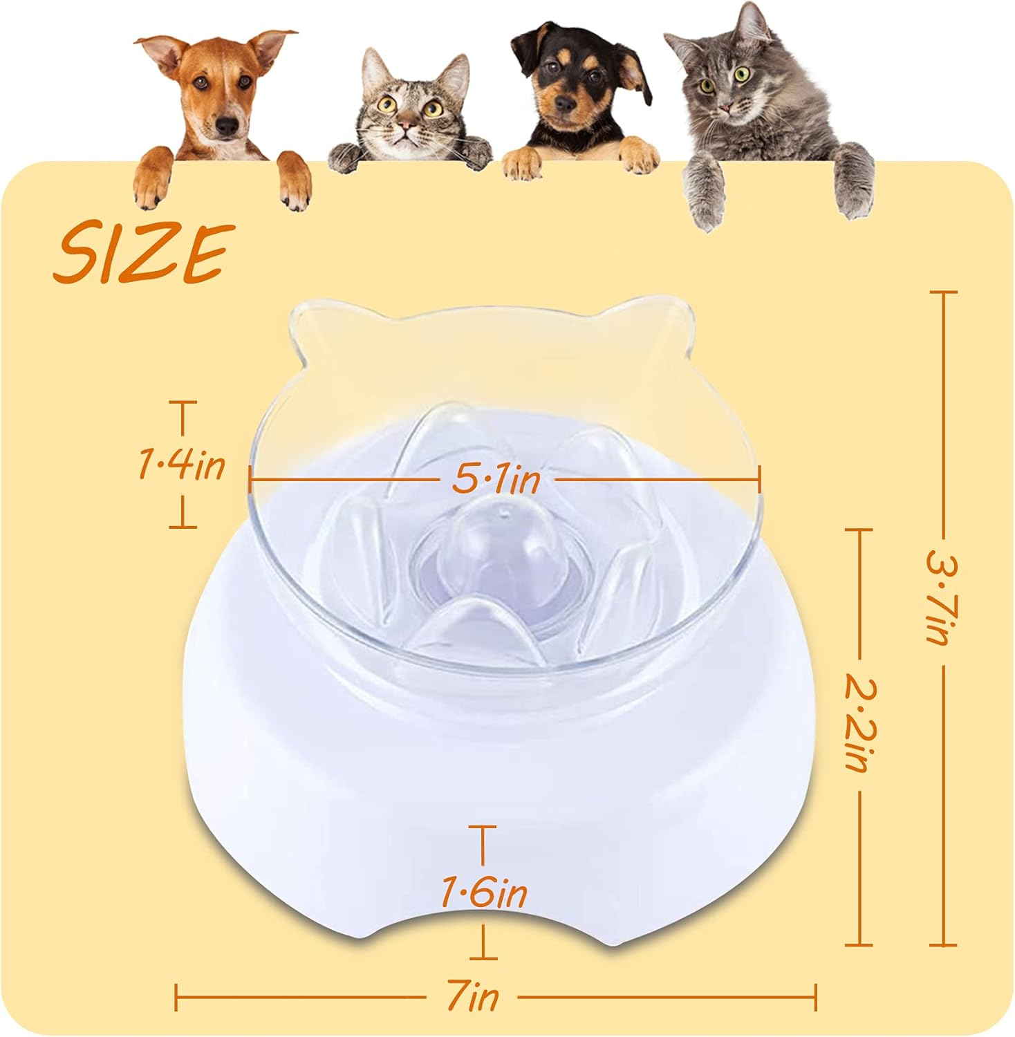 3 in 1 Pet Raised Slow Feeder, Cats Dogs Food Bowls with Stand, 15&deg; Tilted Pet Bowls for Cats and Small Size Dogs, Backflow Prevention, Easy to Clean/59 image number 4