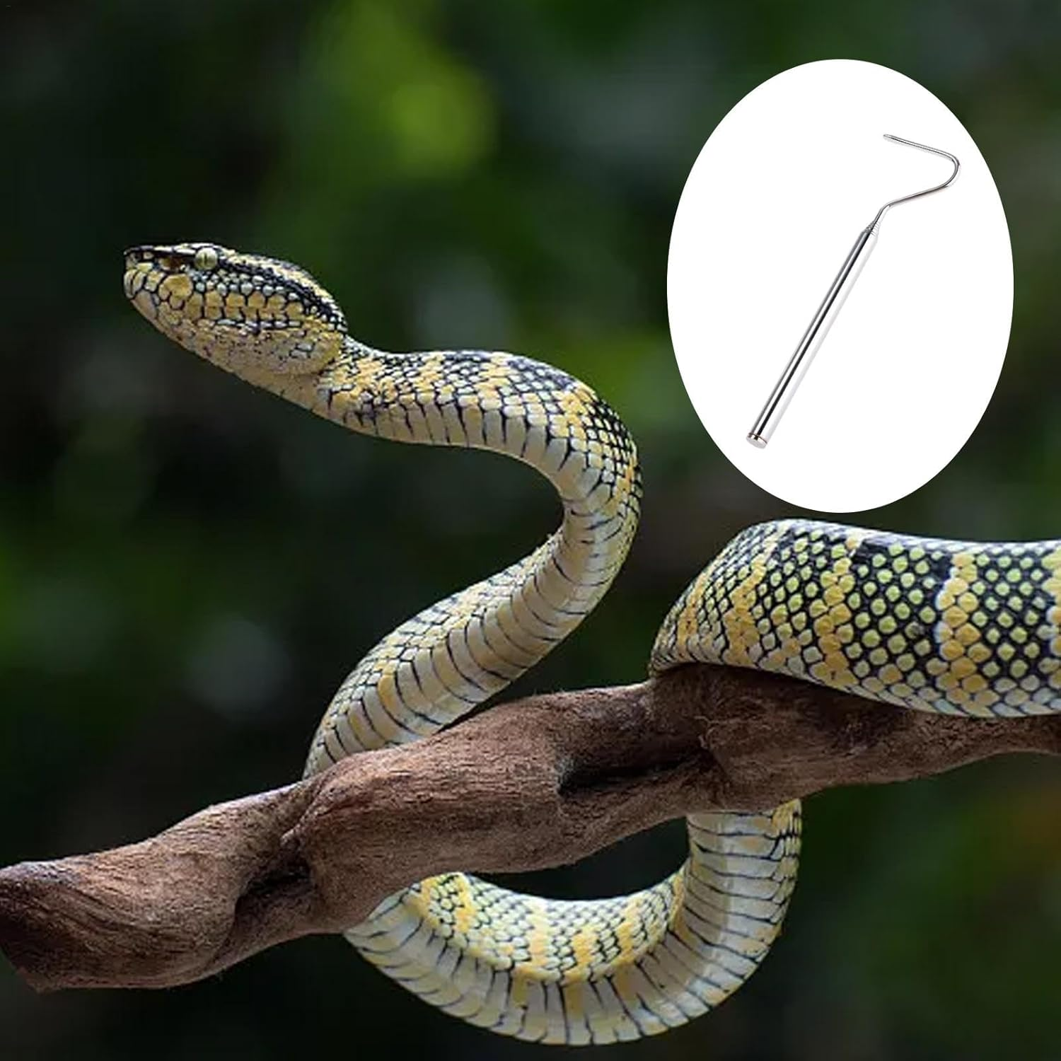 Snake Catcher Grabber - Snake Hook Pick Up, Snake Grabber Stick Hand Tools | Stainless Steel Reptile Grabber for Snakes Reptiles Catching, Telescopic 6.3-26.77 Inches Long Handheld Snake Grabber - Silver image number 2