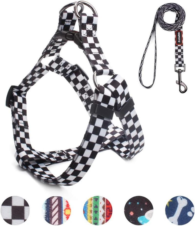 QQPETS Dog Harness Leash Set Adjustable Heavy Duty No Pull Halter Harnesses for Small Medium Large Breed Dogs Back Clip Anti-Twist Perfect for Walking (S(14"-20" Chest Girth), Daisy)