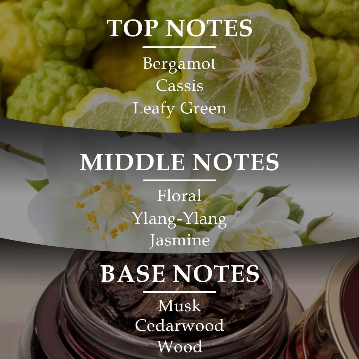 Noble Edition by Lonkoom for Unisex - 3.4 Oz EDP Spray image number 2