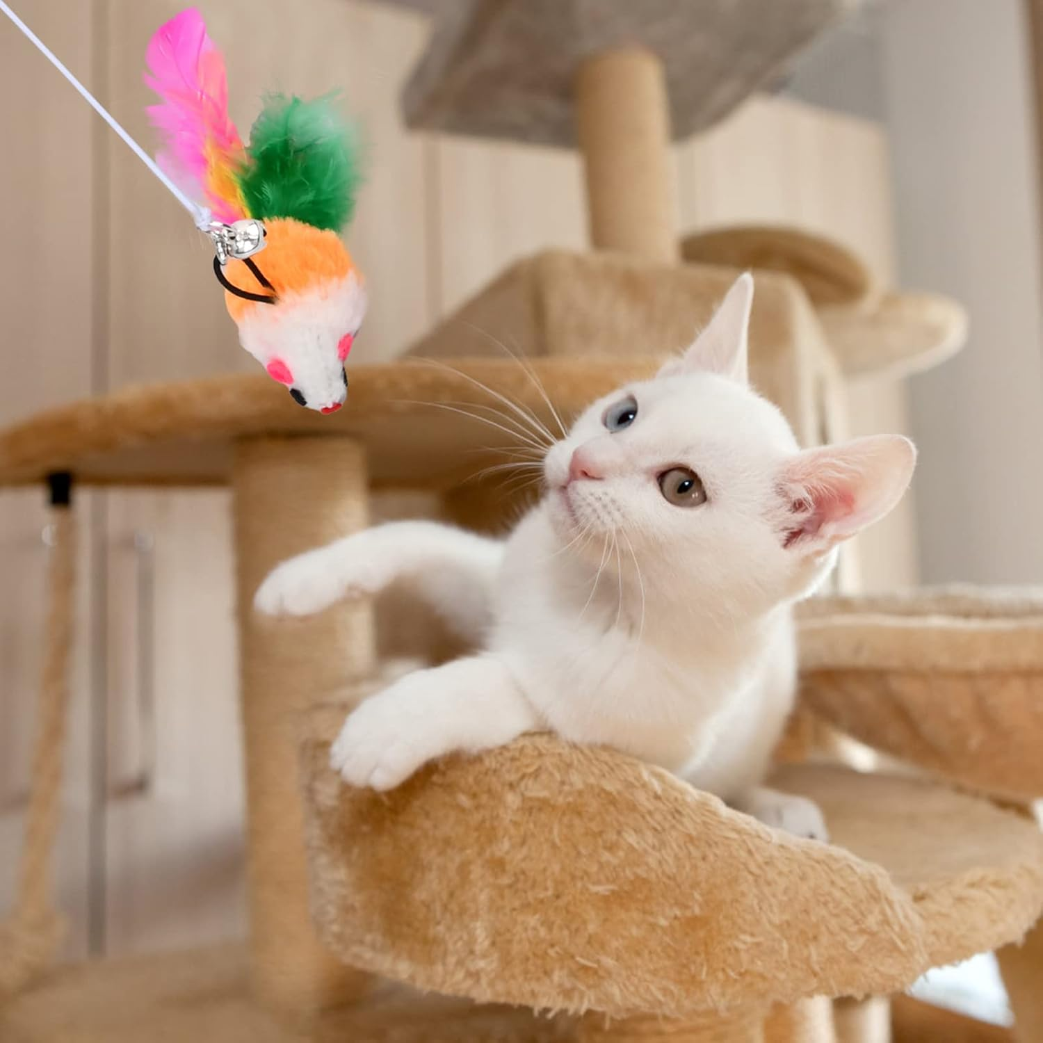 Dokeno Pack of 6 Interactive Cat Toy Cat Toy Self-Activity Cat Toy with Feathers Hanging Door Frame Hanging Cat Toy Set for Cat Run and against Boredom image number 4