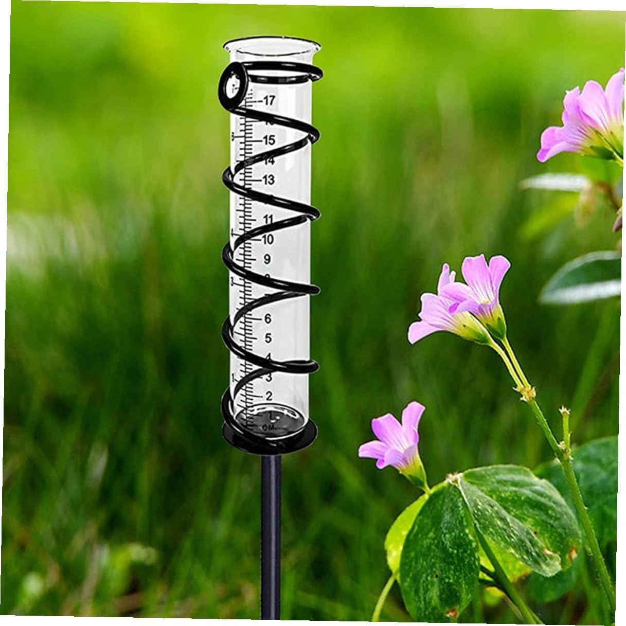 VICASKY 4Pcs Clear Rain Measuring Tubes Glass Rain Gauge for Outdoor Garden Lawn Patio Accurate Precipitation Measurement Tool image number 3