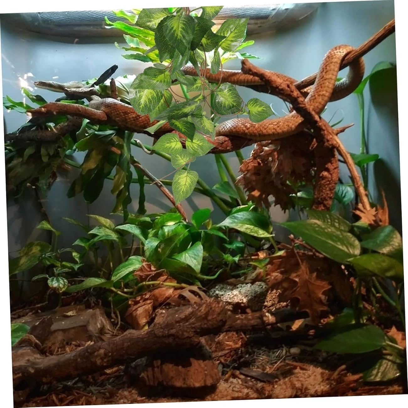 WADY Fake Plant Reptile Tank Hanging Realistic Decorative Reptile Plant Fake Artificial Terrarium Plant Ornament for Aquarium Ideal for Reptile (&lrm;Light Green) image number 6