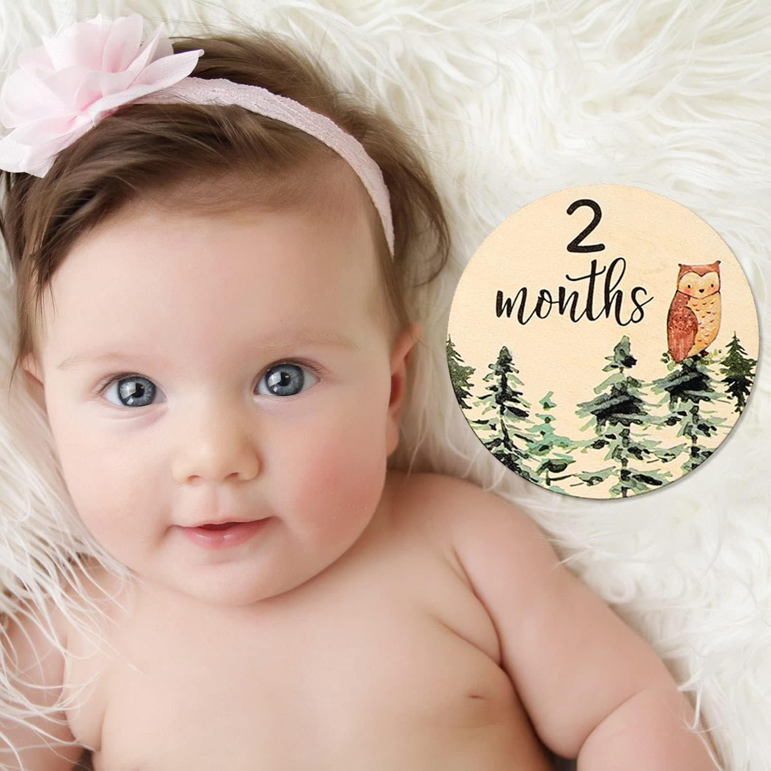 12Pcs Woodland Monthly Milestone Cards Milestone Wooden Discs Double-Sided Cute Animal First Year Age Announcement Sign for Newborn Photo Props Gift image number 5