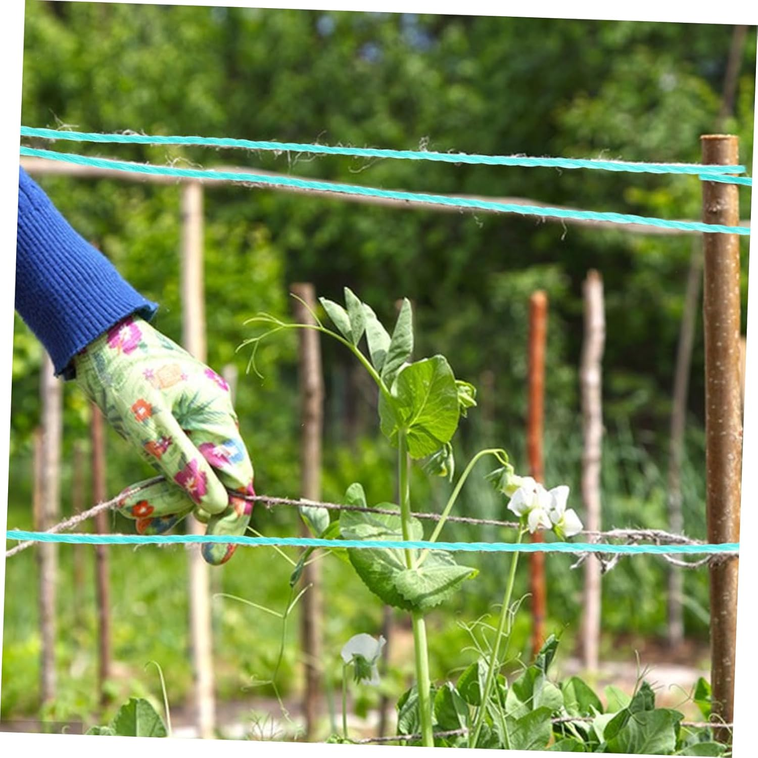 Milisten Garden Twine String Vine Climbing Twine Rope for Plants, 18-Strand Green Nylon Polyethylene, Sturdy Climbing Plants Tie Rope for Gardening and Vegetable Vines, image number 5