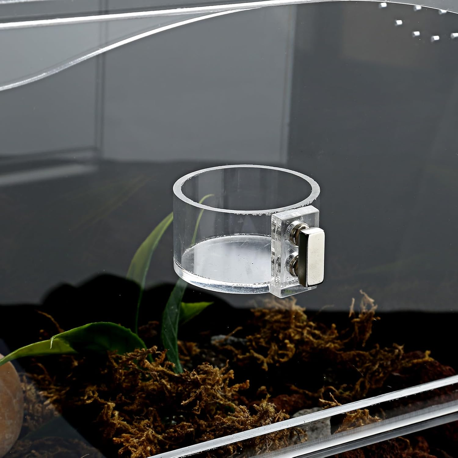 Tarantula Food Bowl Water Dish, Jumping Spider Feeding Dish, Enclosure Accessories, Feeder for Insect, Praying, Mantis Habitat, Butterfly, Bug image number 4