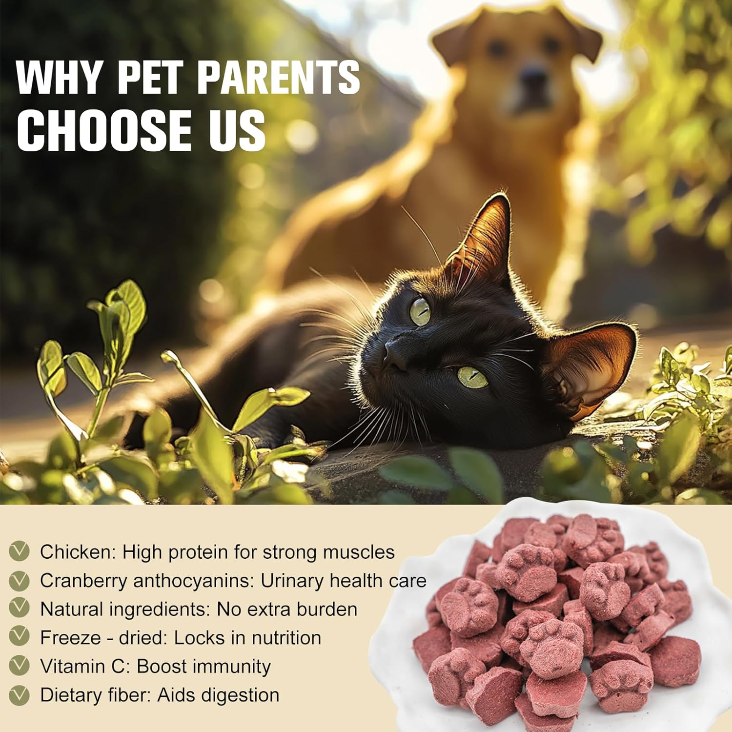 Freeze - Dried Chicken & Cranberry Blend for Cats & Dogs | Natural Dental Care & Nutritious Pet Food,50G image number 4