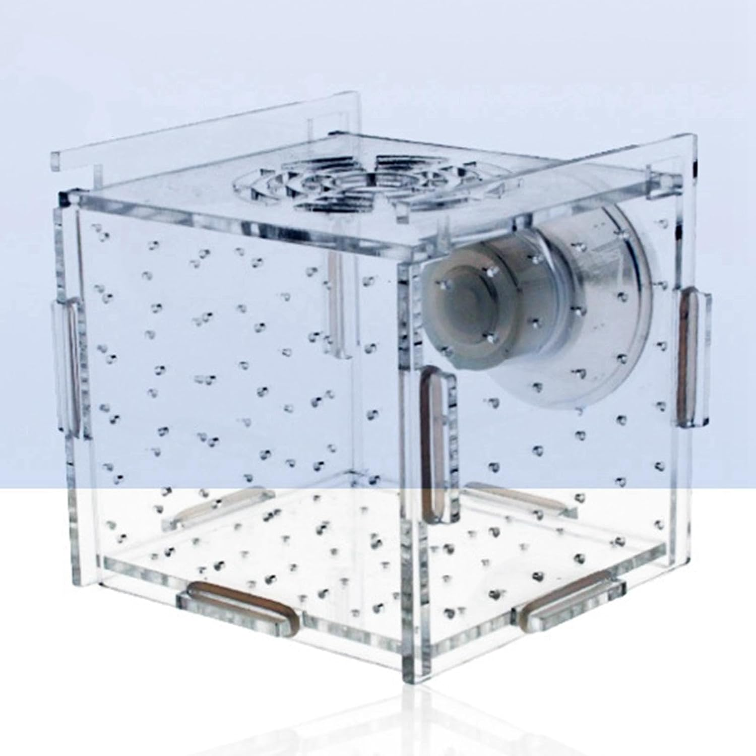 Dualoai Clear Acrylic Fish Breeding Enclosure for Aquatic Pets, 8Cmx8Cmx8Cm image number 2