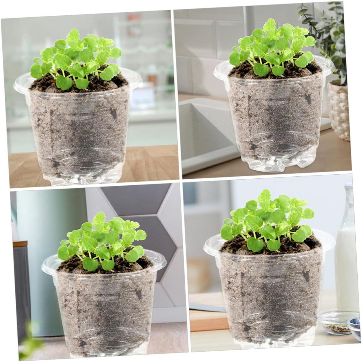 Yardwe 10Sets Moisturizing Flower Pot Plastic Plants Planter Nursery Pots Lids for Seedling for Indoor Planting and Garden Supplies image number 2