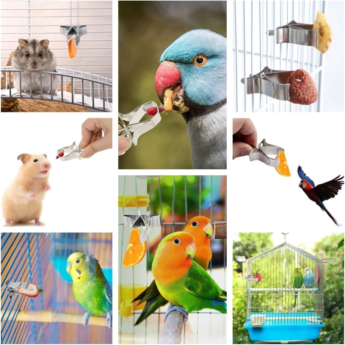 Stainless Steel Parrot Food Clips, 6 Pieces Stainless Steel Parrot Fruit and Vegetable Clips,Stainless Steel Feeder Bird Fruit Vegetable Clamps image number 4