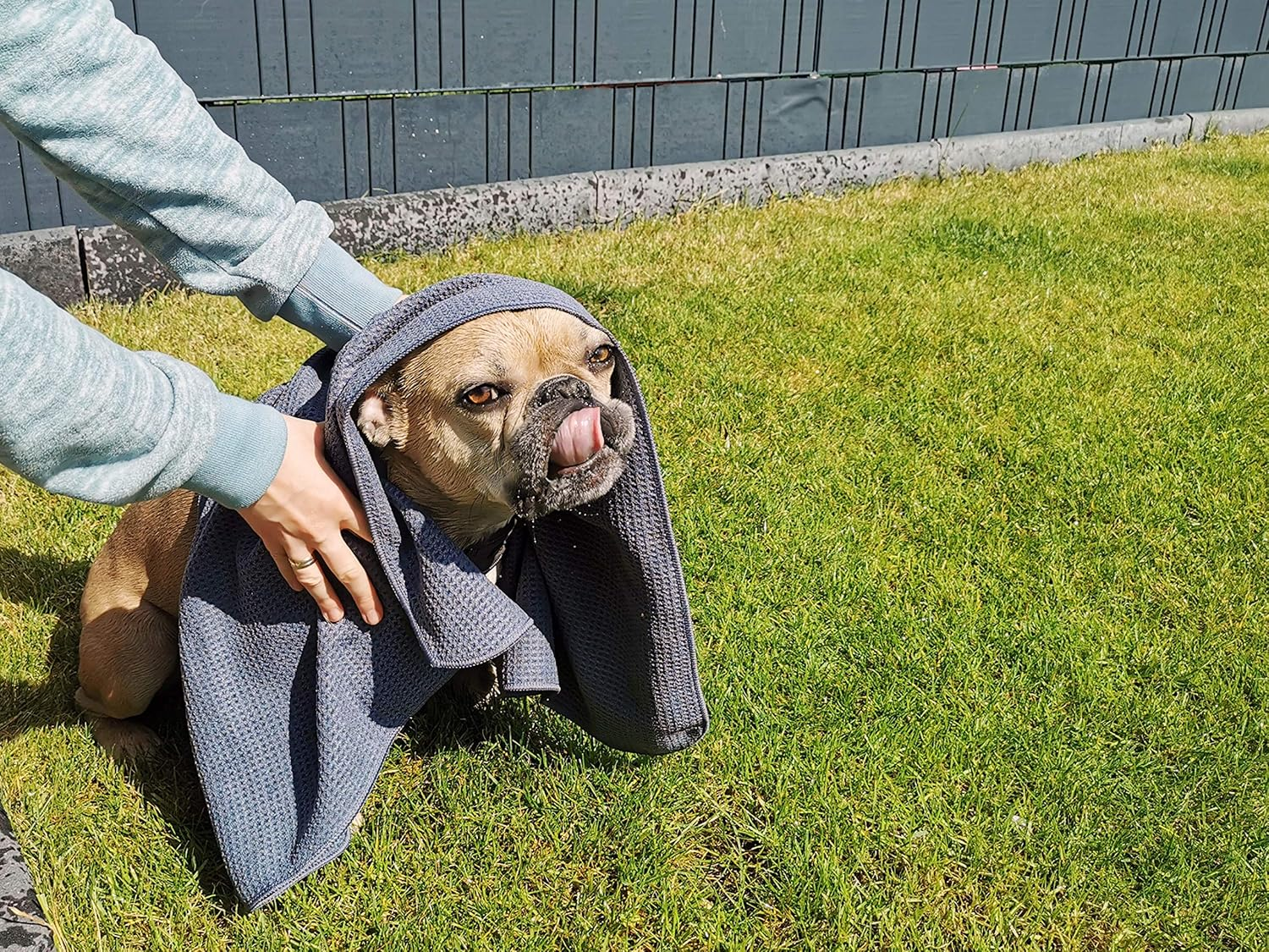 Glart Soft, Absorbent Dog Towel Pet Towel, Microfibre Dog Bath Towel 80 X 55 Cm