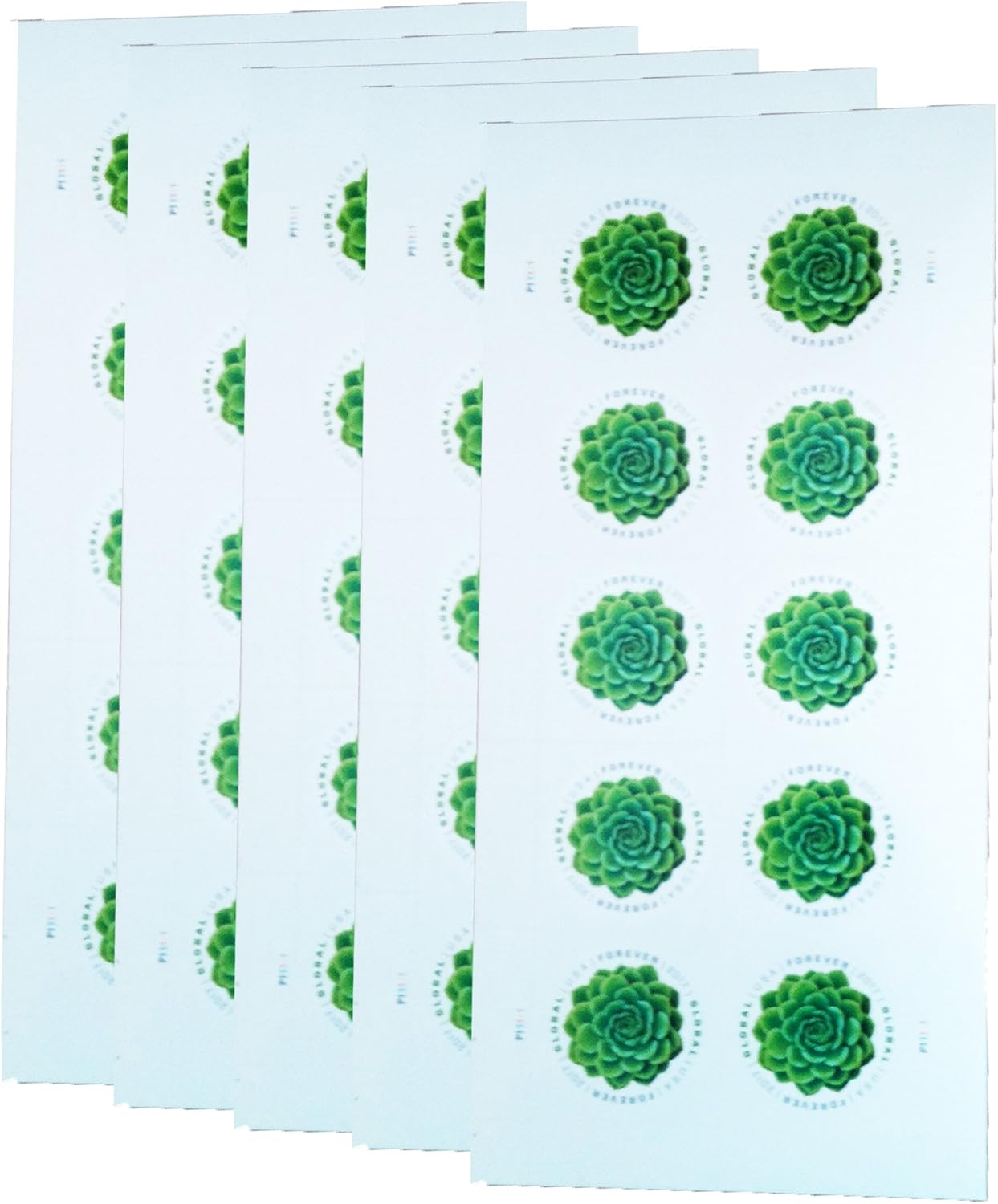 Green Succulent Sheet of 10 Global USPS First Class International Forever Postage Stamps (2)