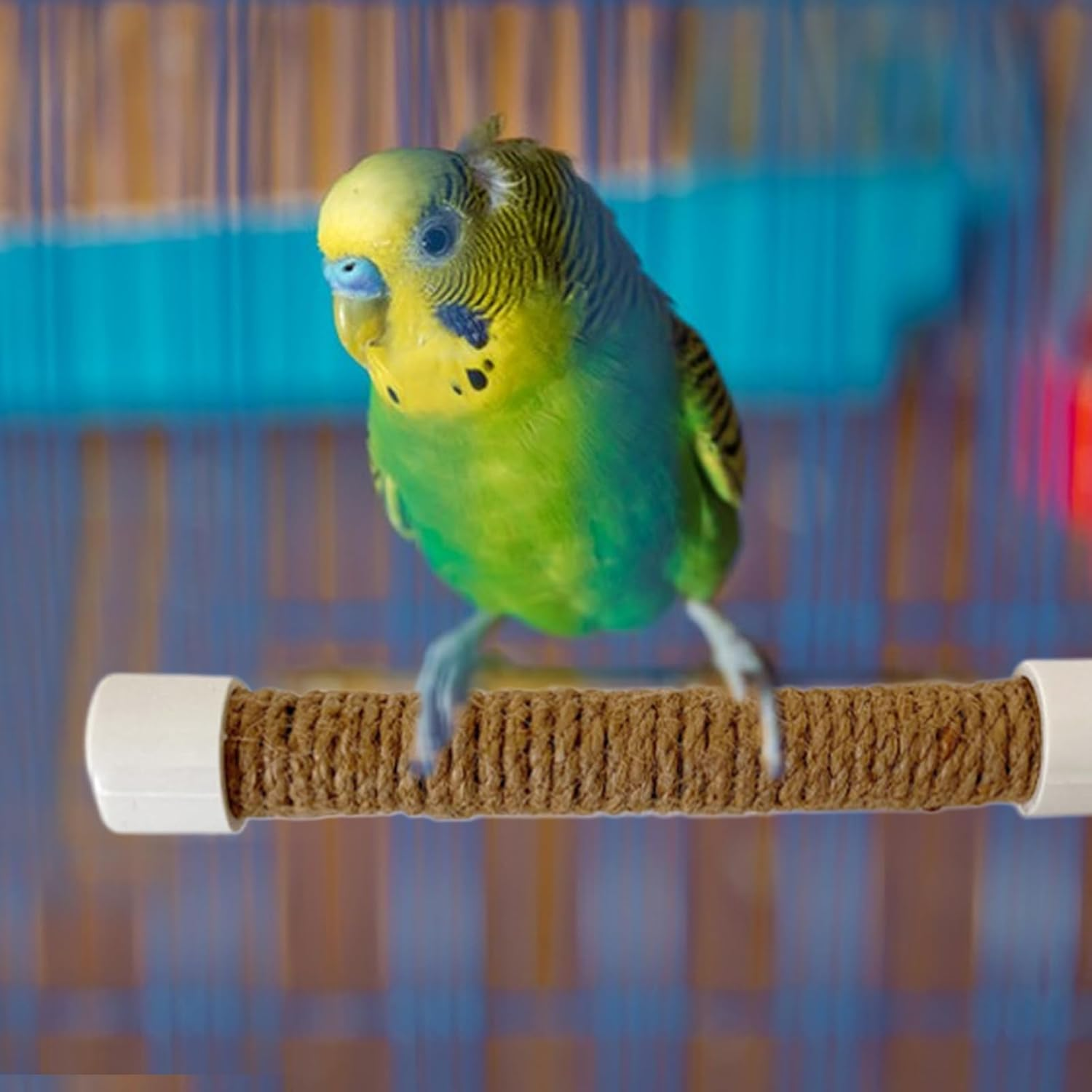 Parrot Shower Perch | Parakeet Training Stand - Suction Cup Portable Perch Cage Accessories for Bird Macaw Parakeet for Window Car Bath Training Uses image number 6