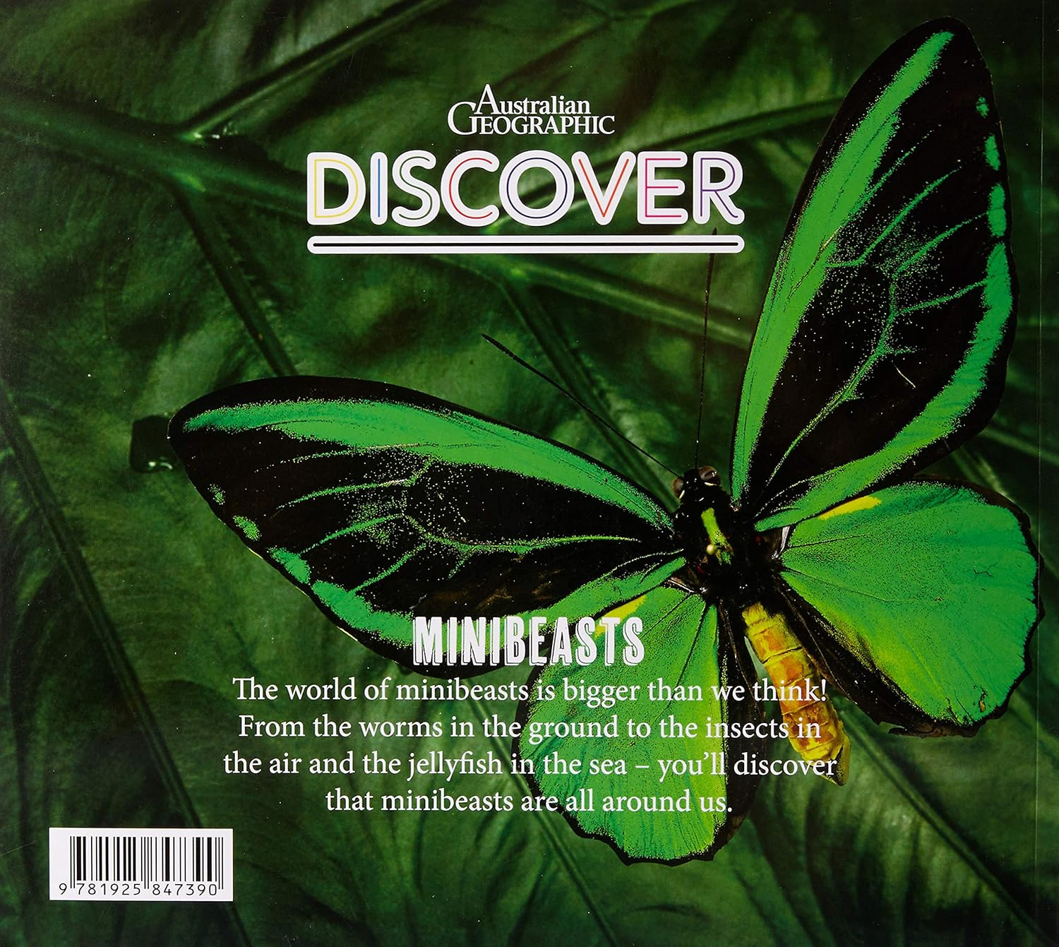 AG Discover: Minibeasts image number 3