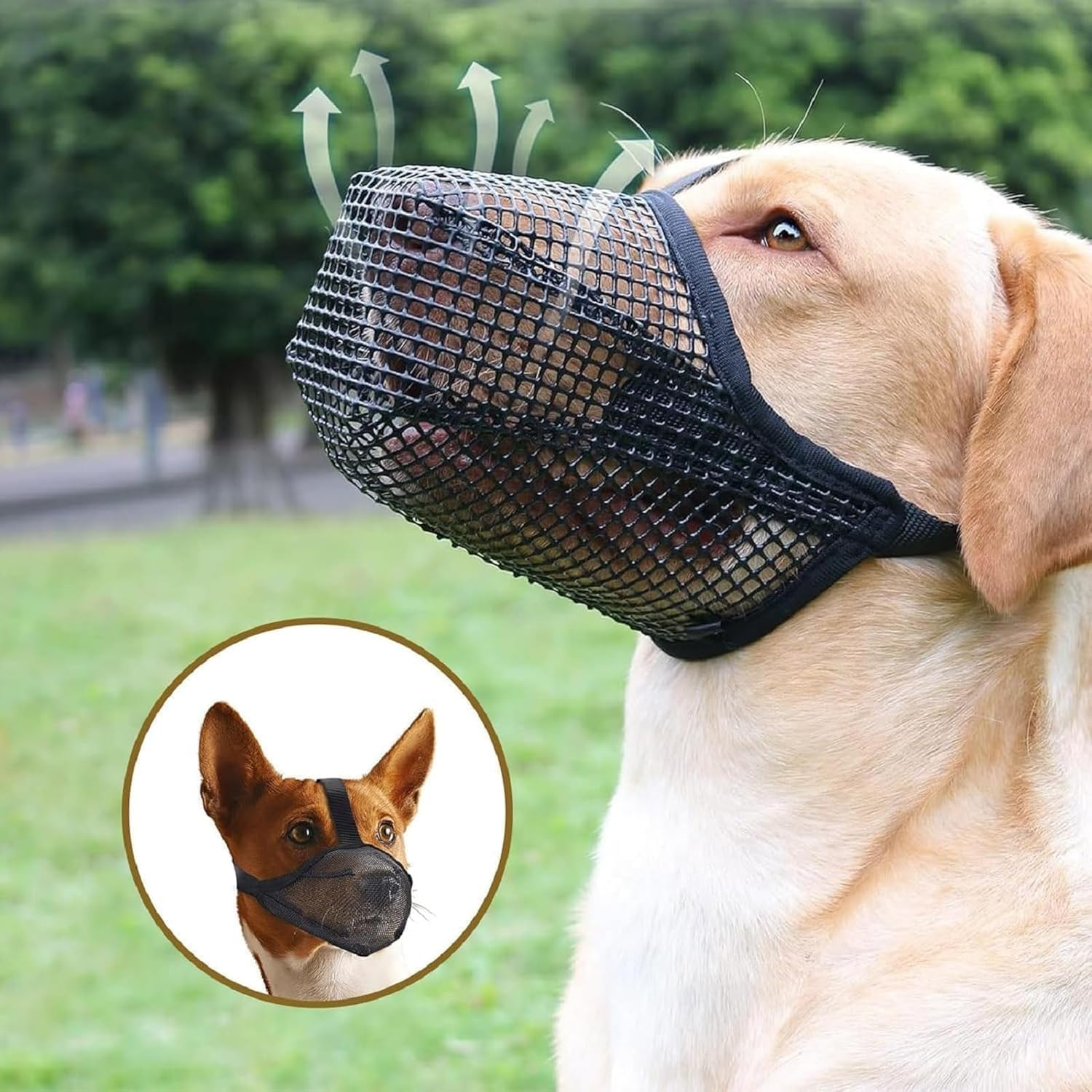 Dog Mask, Soft Mesh Mask, round Mesh Dog Mask, Prevents Eating, Biting and Chewing, Adjustable Poison Bait Protective Mask Suitable for Small and Medium-Sized Dogs (Black, M) image number 1