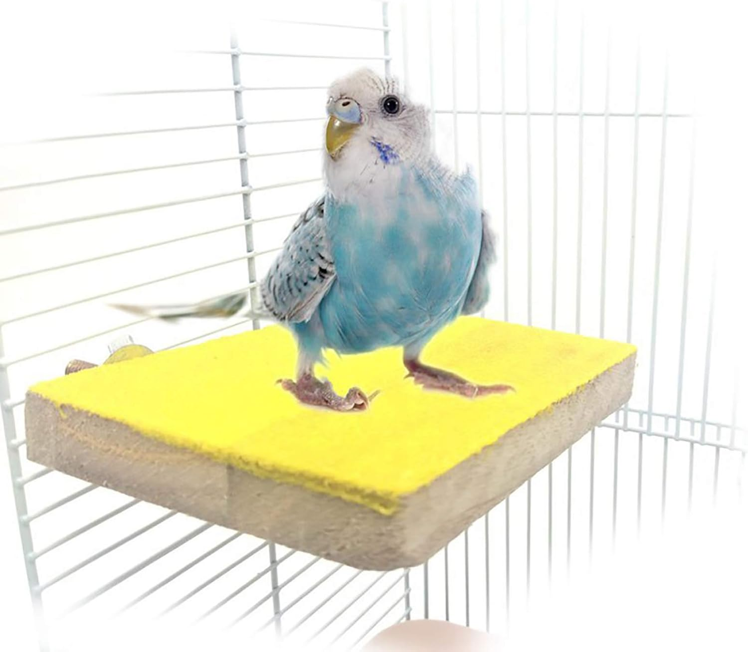 Tooloflife Bird Perch Stand Platform Toy, Natural Wood Playground Paw Grinding for Toys Parrot Parakeet Chew Toy 5PCS image number 2