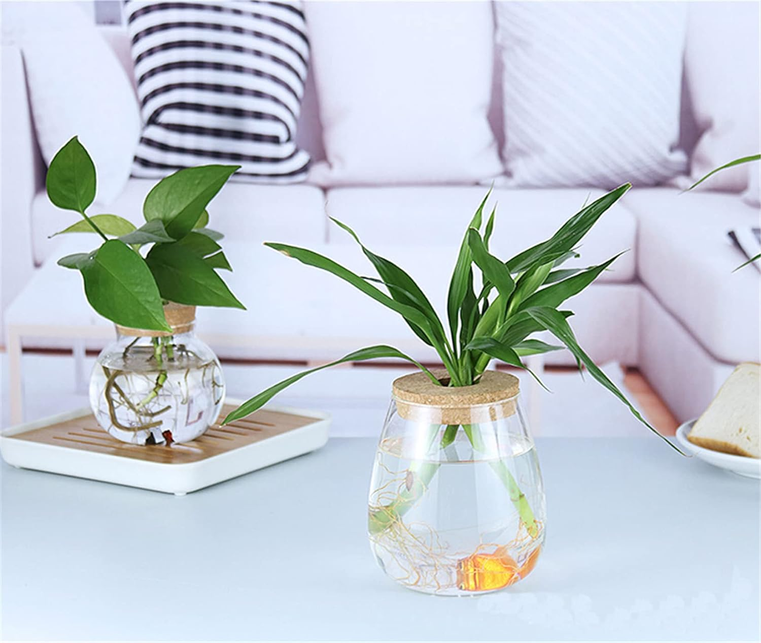 MMIAOO Hydroponic Plant Glass Container,Glass Mini Vase - Micro Landscape Ecological Bottle,Home Decoration Vase,For Water Plants or Flowers,Garden Wall Decoration (Cylinder, 10 * 12Cm) image number 6