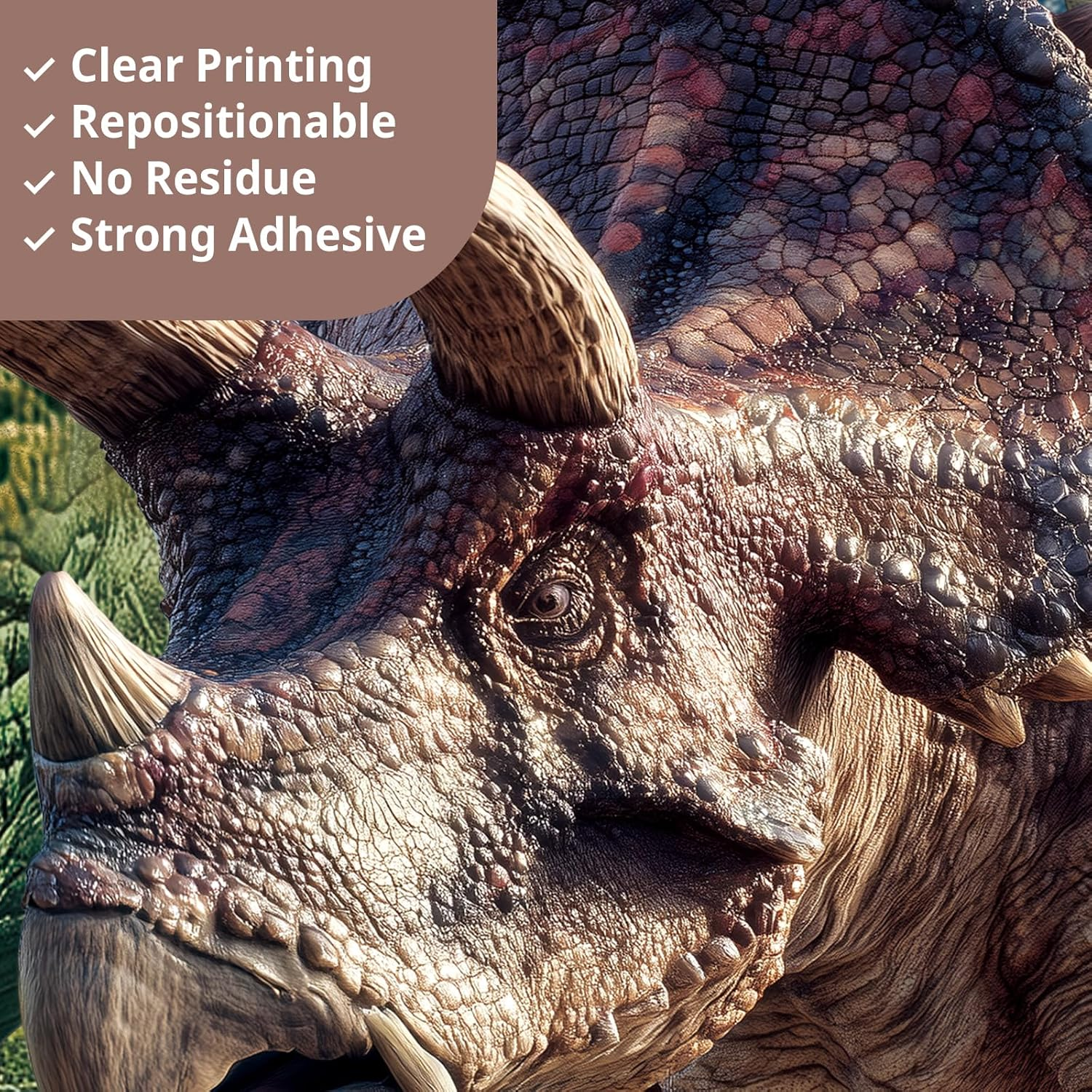 DECOWALL SG2-2515 3D Dinosaur Wall Stickers Realistic T-Rex and Jurassic Wall Decals for Children&rsquo;S Bedroom Nursery Baby Room Playroom Wall D&eacute;cor image number 6