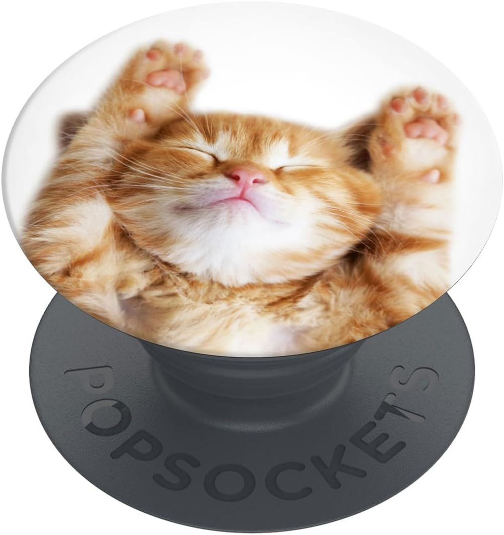 Popsockets Popgrip Extendable Holder and Grip for Smartphones and Tablets Finger Holder Basic Snoozy Cat image number 1