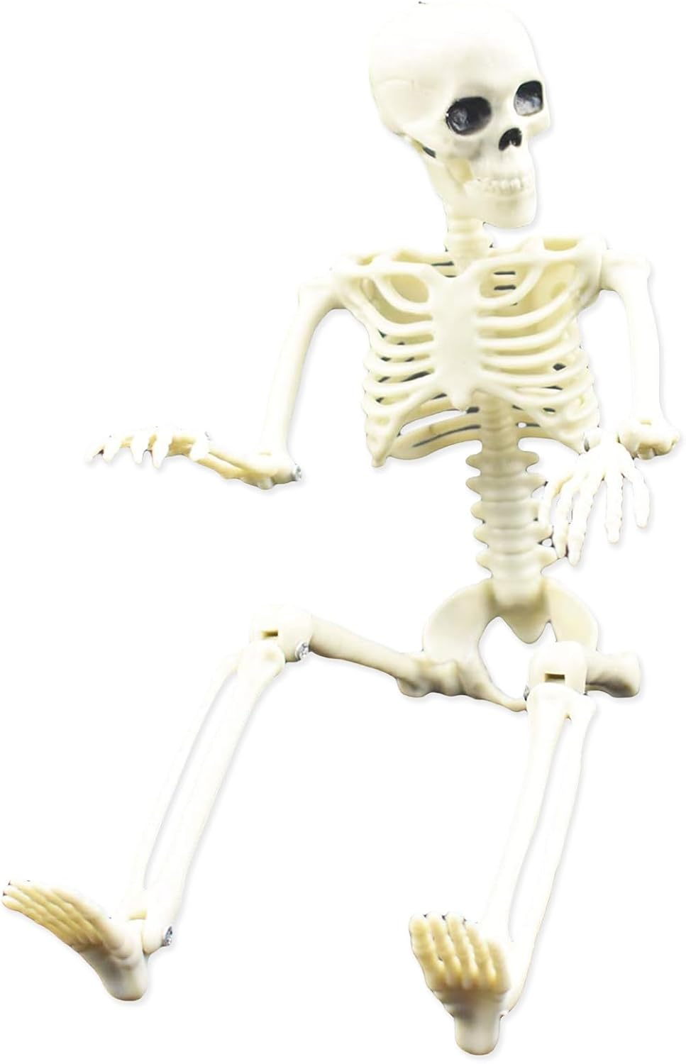 Posable Skeleton, Human Skeleton Model with Posable Movable Joints, Figure for Halloween Props Spooky Party Decoration image number 3