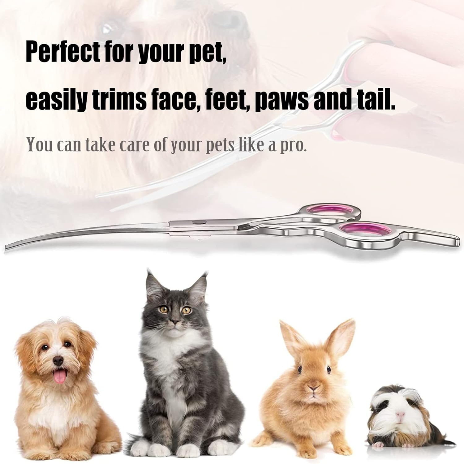Pet Scissors, Grooming Scissors, 6 Inch Professional Stainless Steel Dog Grooming Scissors for Dogs, Cat Hair Scissors for Dogs, Paw Scissors, Curved Scissors (A) image number 1