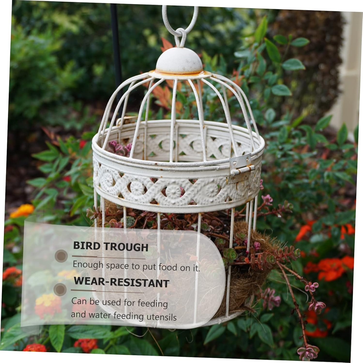 4Pcs Thickened Semicircle Bird Food Bowl Trough Durable Feeder for Parrots and Birds Easy to Clean and Install for Cage Accessories Transparent image number 4