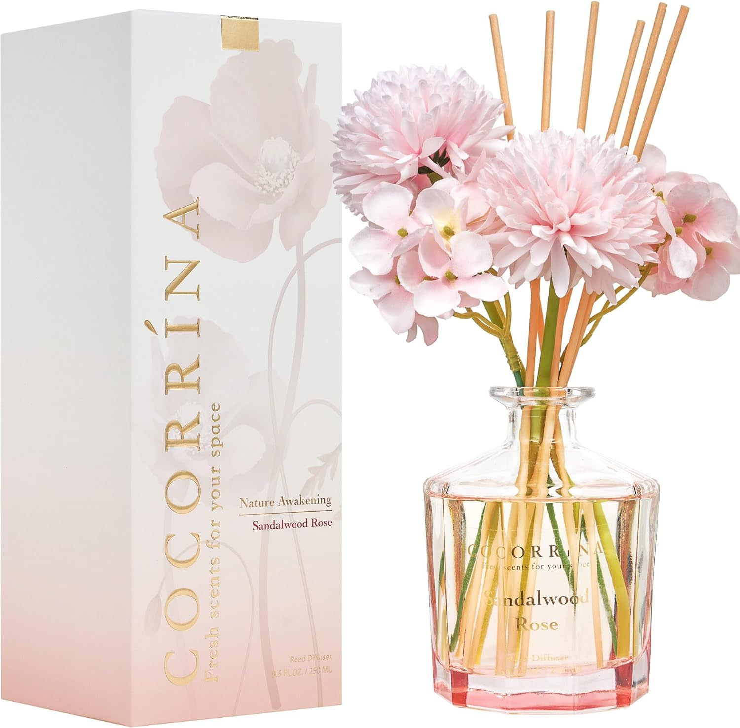 COCORR&Iacute;NA Reed Diffuser Set- Sandalwood Rose 8.5Oz Flower with 8 Sticks, Home Fragrance Reed Diffuser for Home Bedroom Office Bathroom Shelf Decor (Master Collection) image number 1