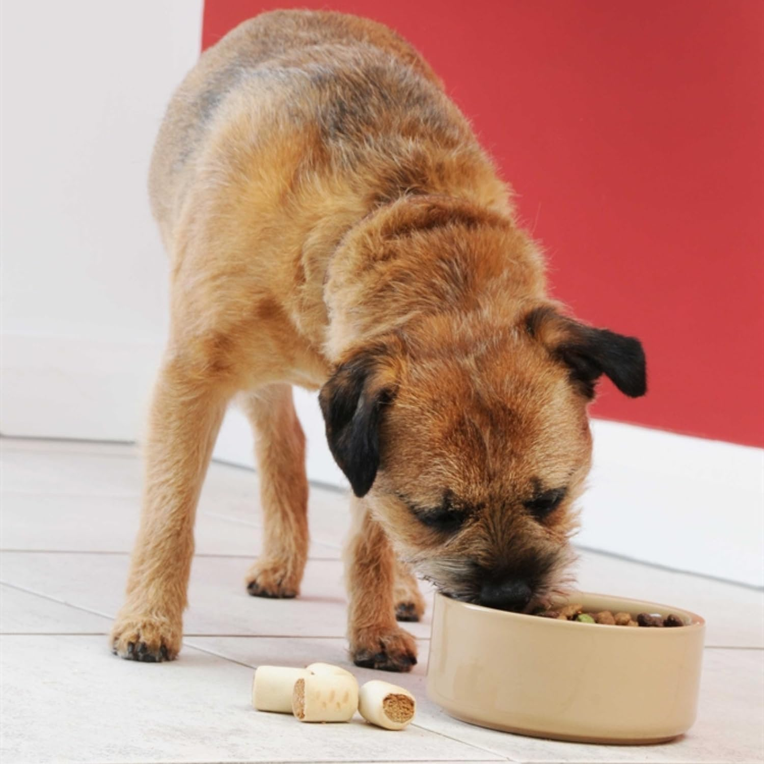 Mason Cash Cane Ceramic Dog Bowl, 7-Inch, Plain image number 6