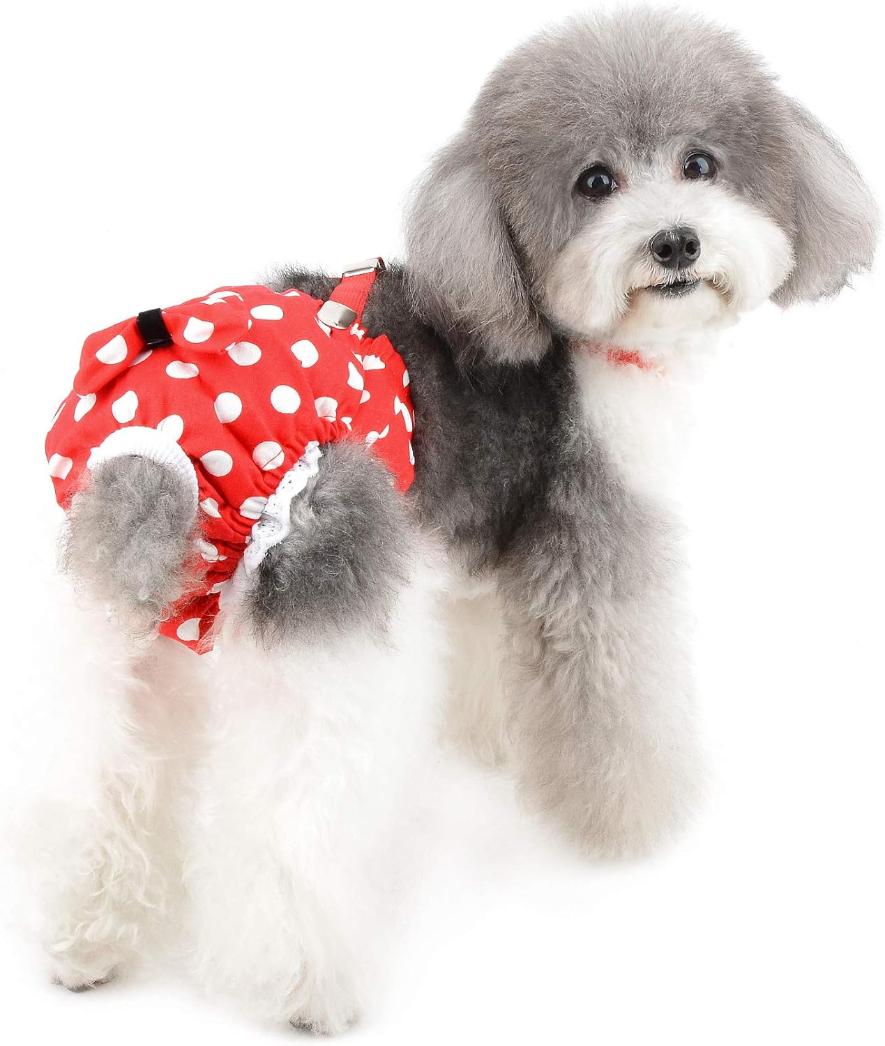 ZUNEA Small Dog Nappies for Female Dogs Reusable Washable Dog Diapers Cute Polka Dot Pet Sanitary Nappies with Adjustable Brace Puppy Physiological Pants Non-Absorbable Nursing Diaper