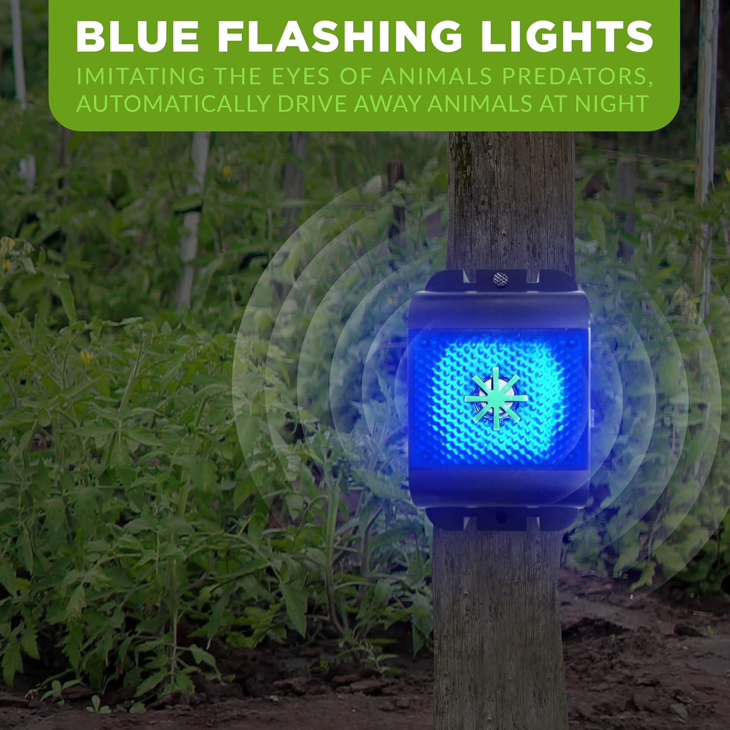 ISOTRONIC Battery Operated Rodent Repeller against Mice, Rats, Martens, Dormice, Raccoons & Foxes - Gentle Wildlife Repellent with Ultrasonic Waves & Blue LED Light (1) image number 2