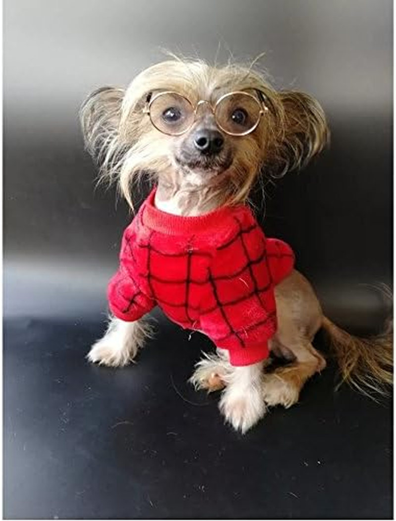 Stock Show Dog Cat Sunglasses, Retro round Trans Golden Frame, Resin Lens, Fashion Protection for Small Mini Pets, Party, Wedding, Cosplay Props image number 3